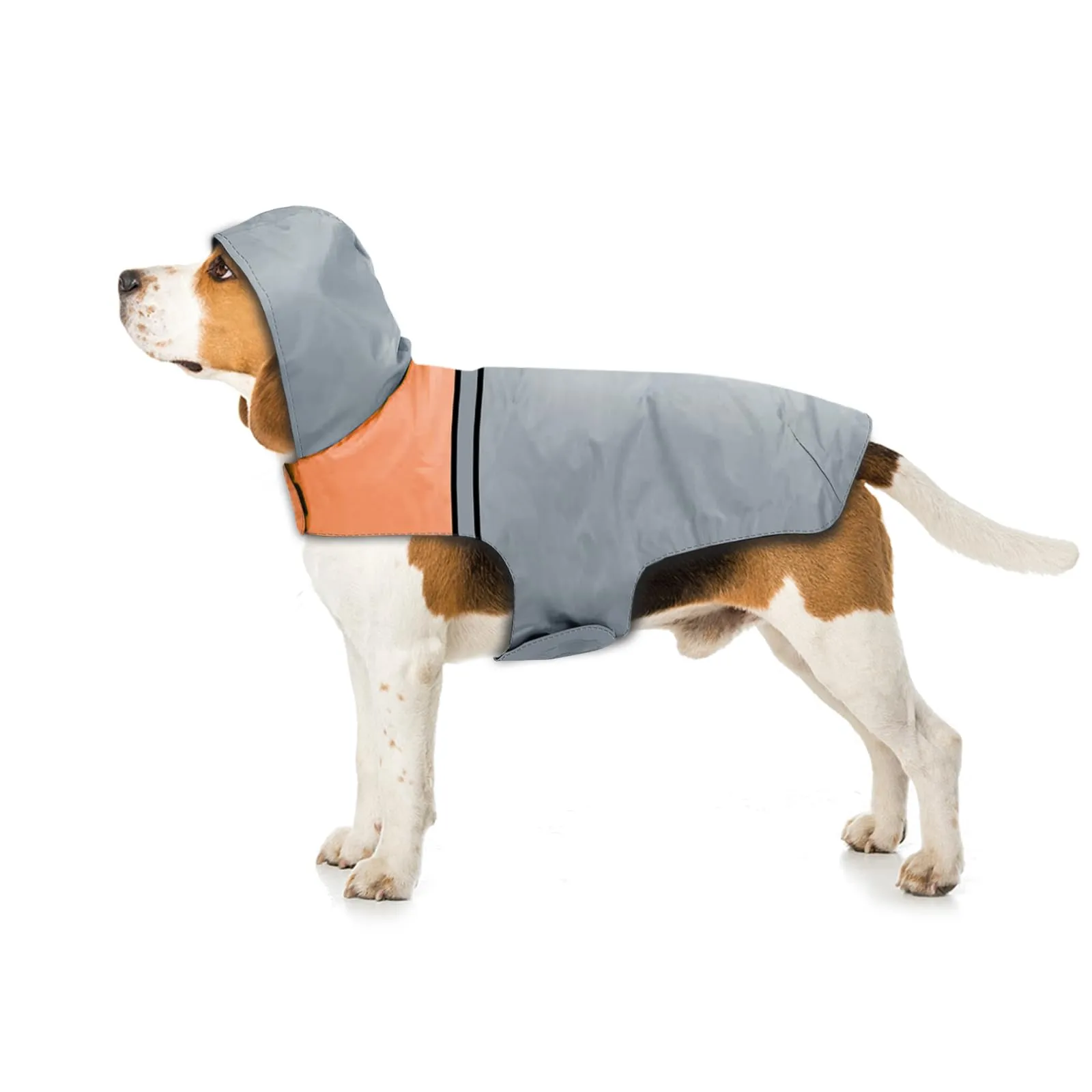 SLE Impermeabile per Cani con Cappuccio e Strisce Riflettenti, Taglia M, Grigio - immagine 1