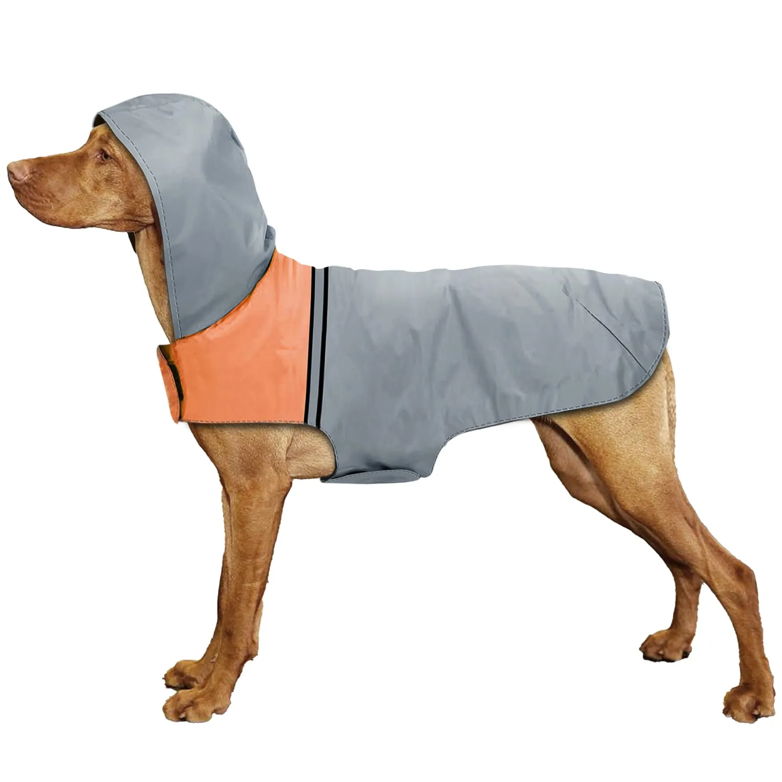 SLE Impermeabile per Cani con Cappuccio e Strisce Riflettenti, Taglia L, Grigio - immagine 1