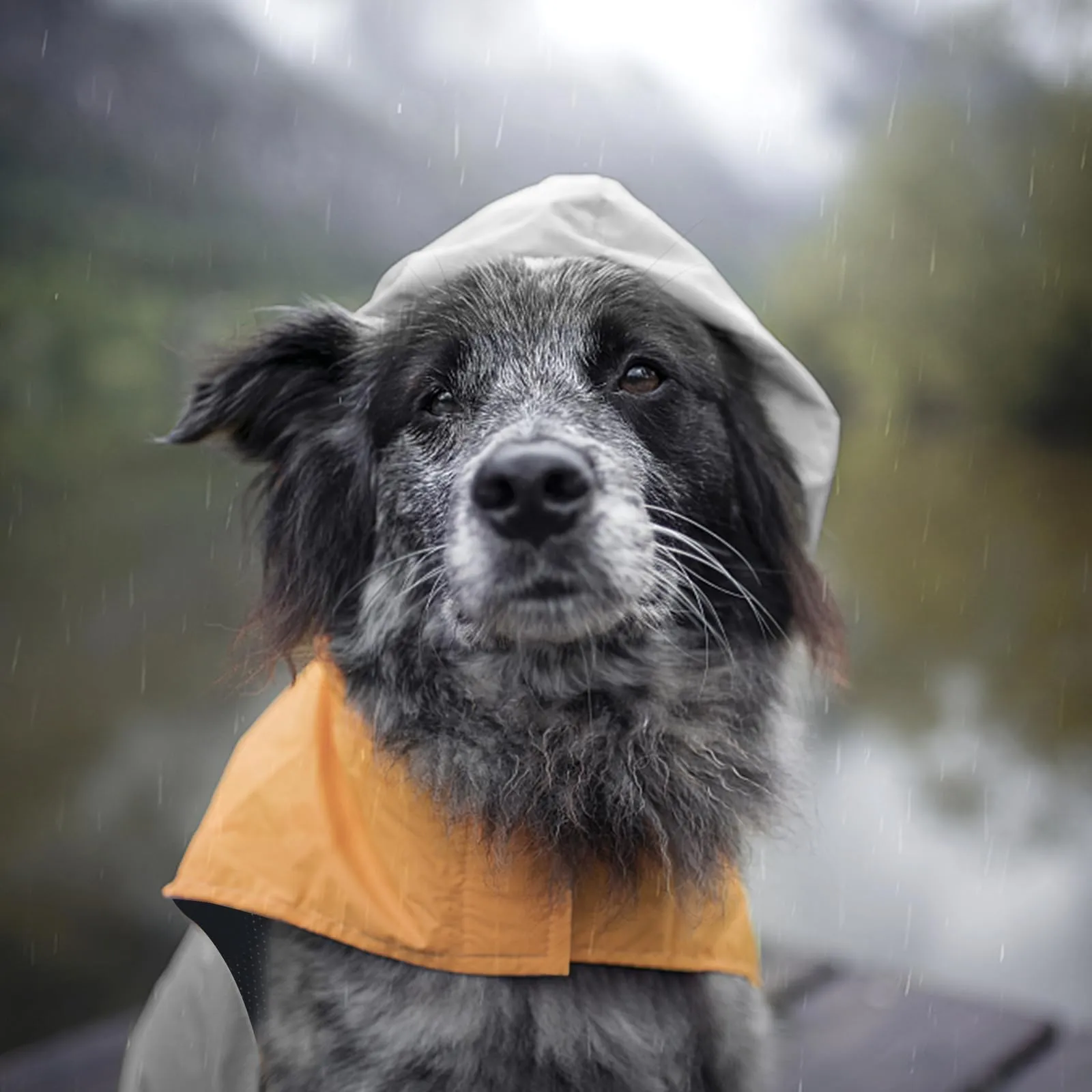SLE Impermeabile per Cani con Cappuccio e Strisce Riflettenti, Taglia XXL, Grigio - immagine 8