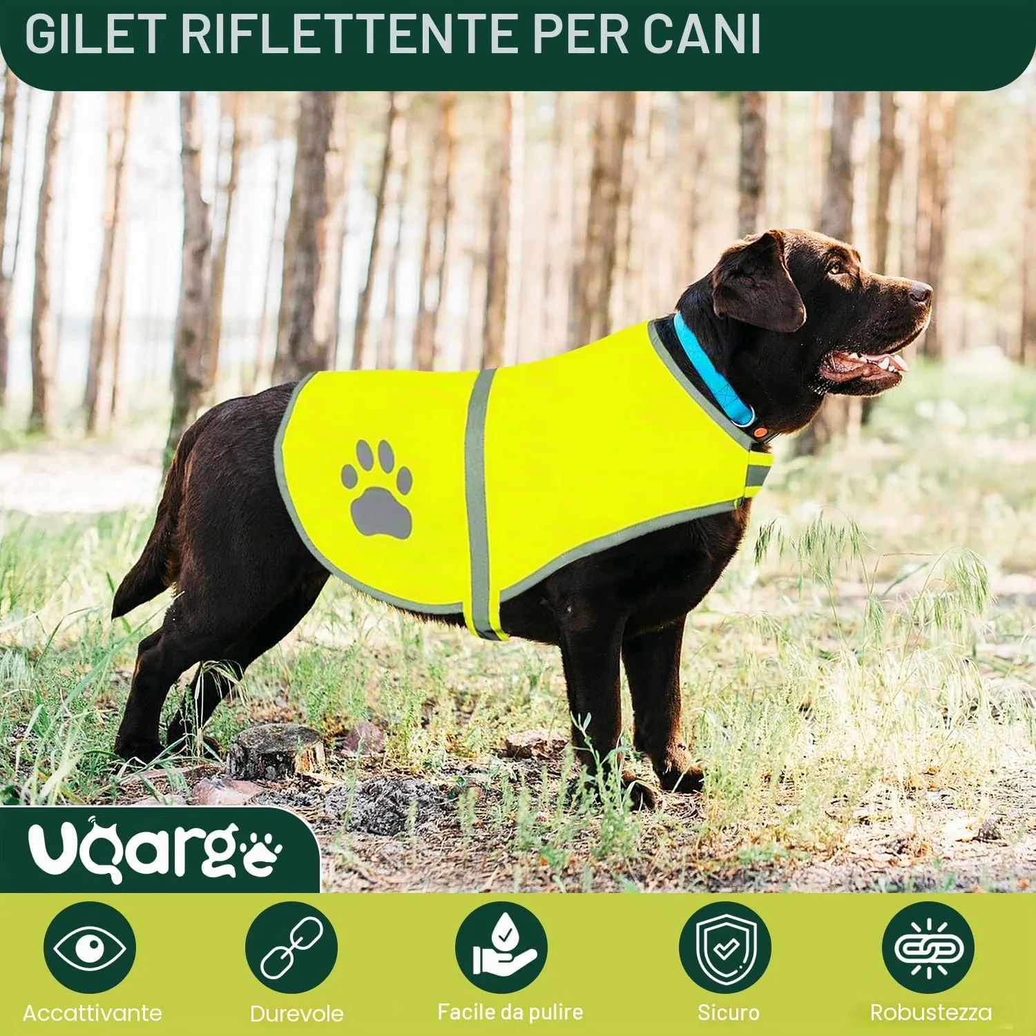 Voarge Gilet di Sicurezza Riflettente per Cani, Alta Visibilità, Giallo, XL - immagine 2