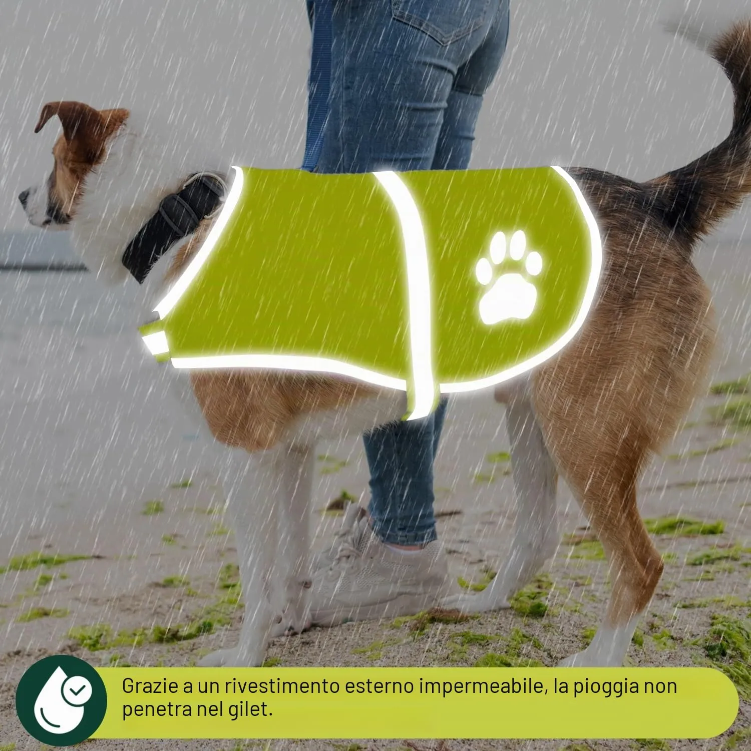 Voarge Gilet di Sicurezza Riflettente per Cani, Alta Visibilità, Giallo, XL - immagine 6