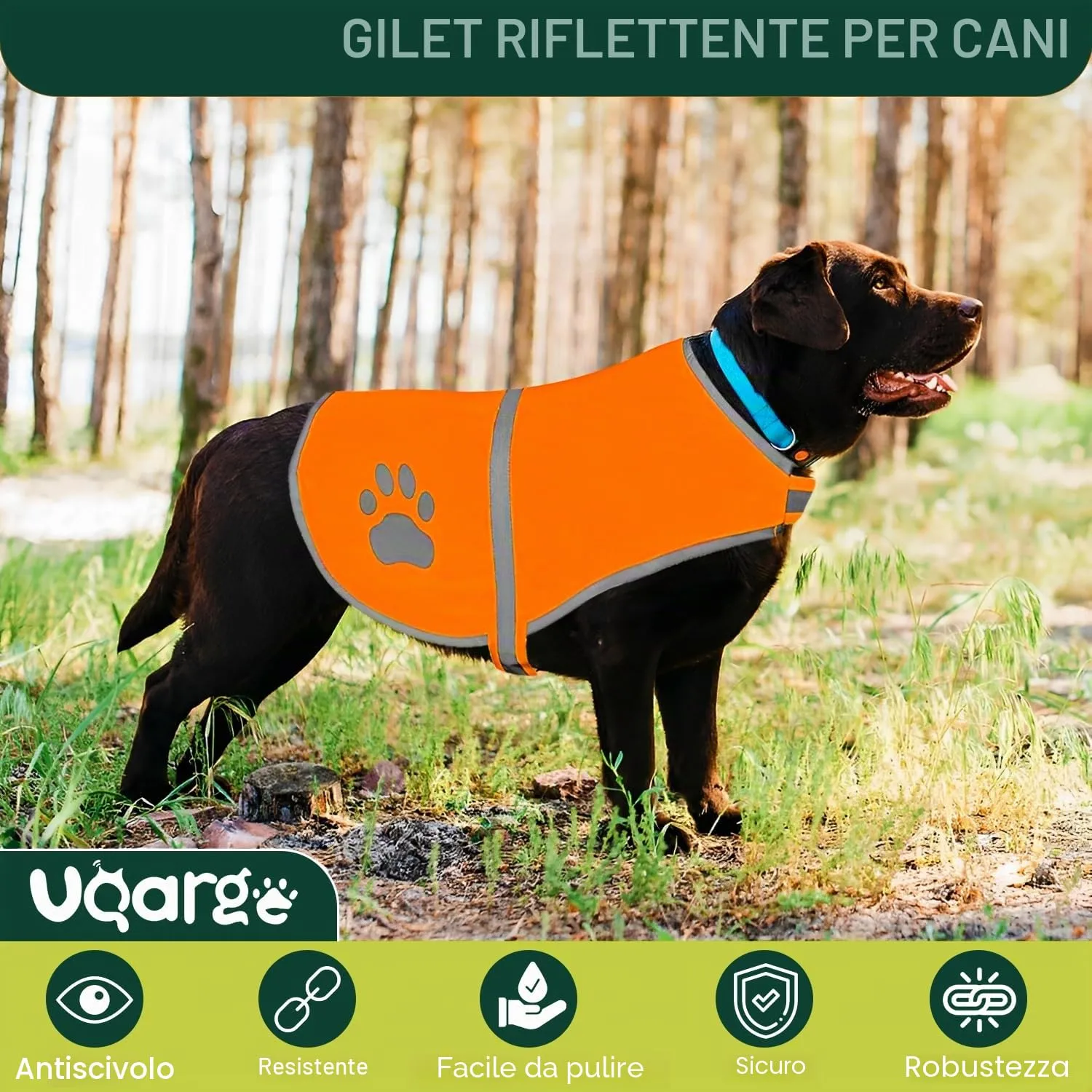 Voarge Gilet di Sicurezza Riflettente per Cani, Arancione, M - immagine 2