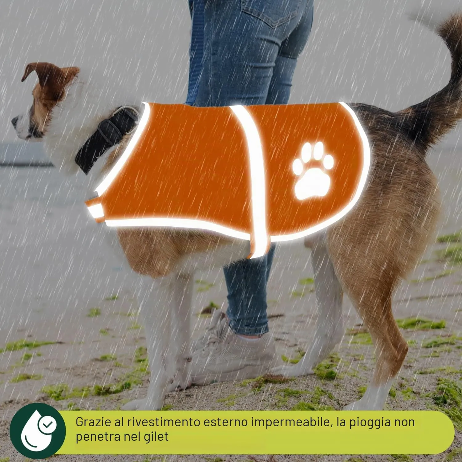 Voarge Gilet di Sicurezza Riflettente per Cani, Arancione, M - immagine 6
