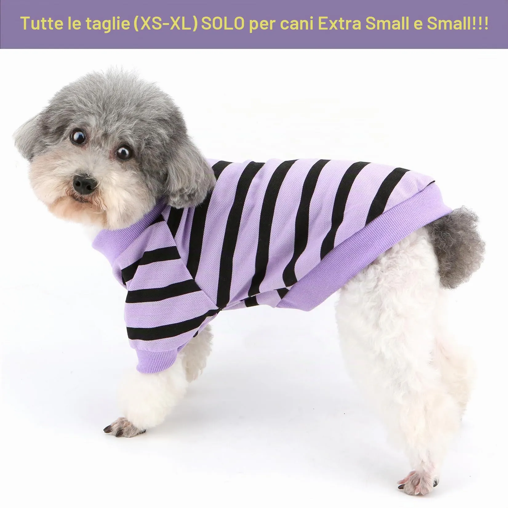 Zunea Magliette per Cani Piccola Taglia a Righe con Paillettes Cuore, Cotone, Viola, XS - immagine 2