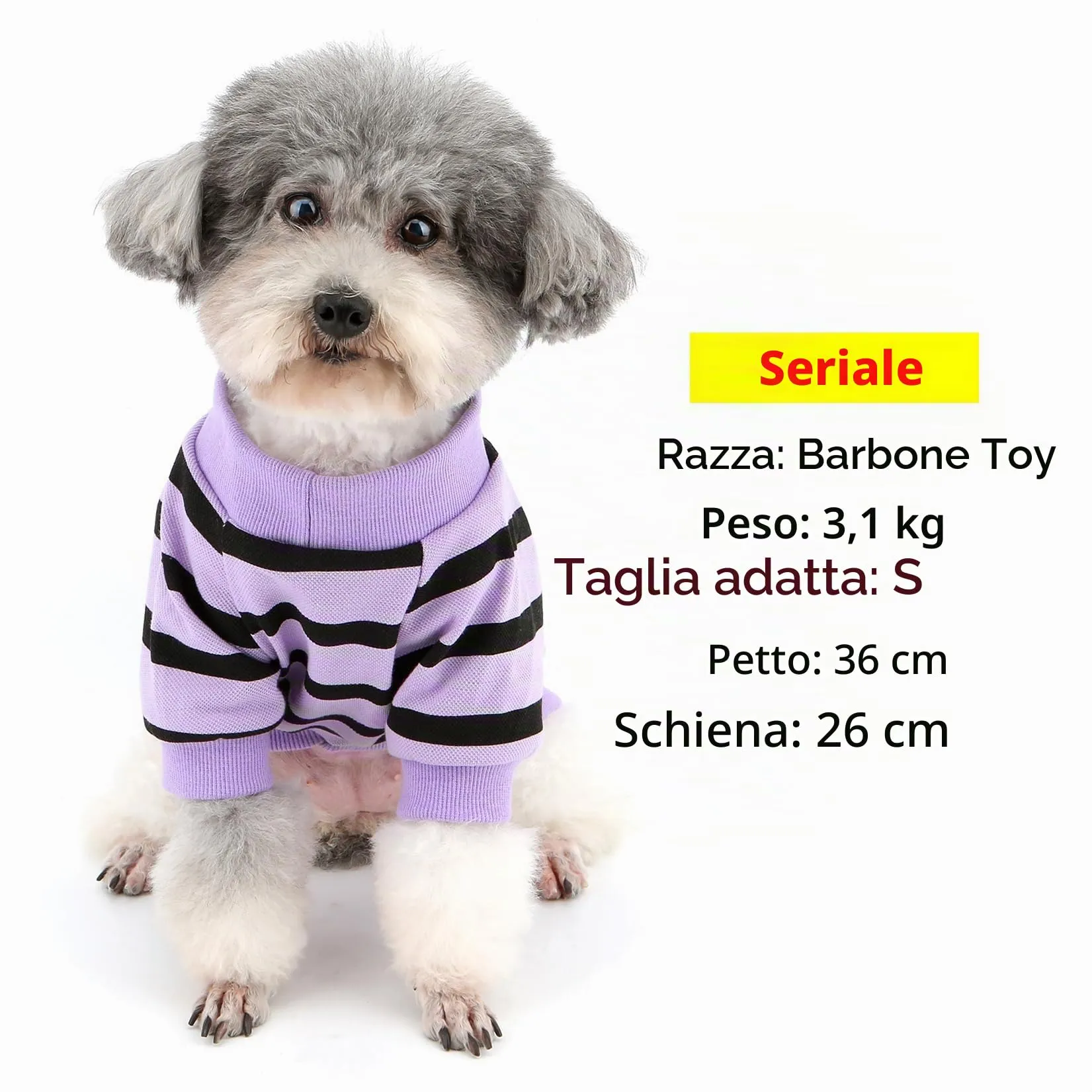 Zunea Magliette per Cani Piccola Taglia a Righe con Paillettes Cuore, Cotone, Viola, XS - immagine 3
