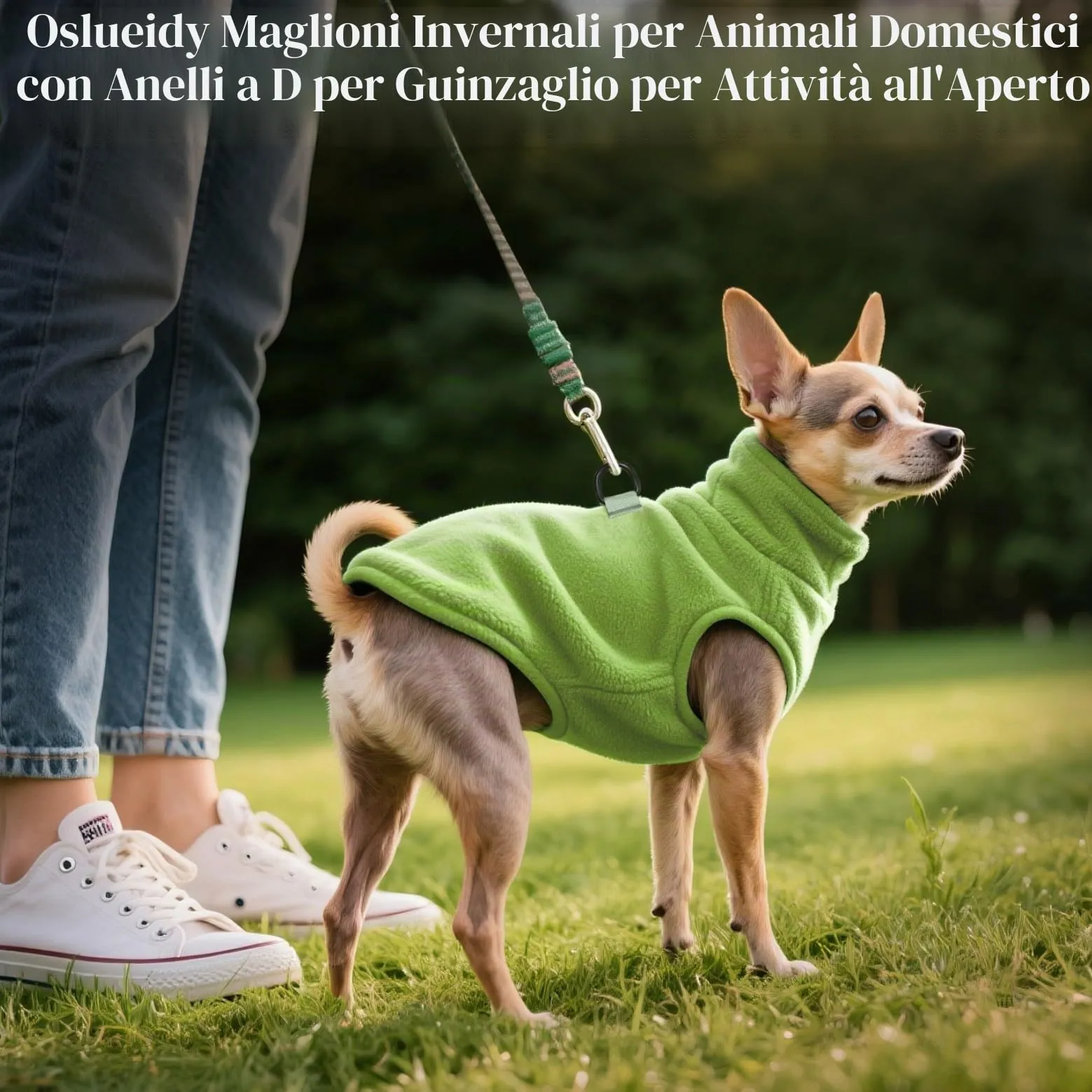 Oslueidy Cappotto in Pile con Cappuccio per Cani, Verde, XXL - immagine 4