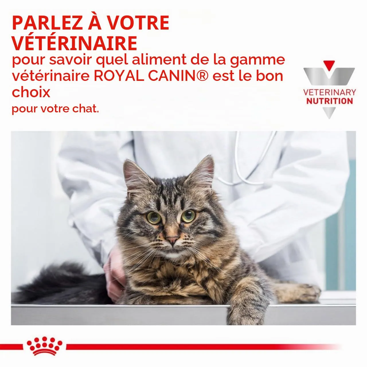 Royal Canin Gastrointestinal Fibre Response Alimento Secco per Gatti Adulti, 2 kg - immagine 3