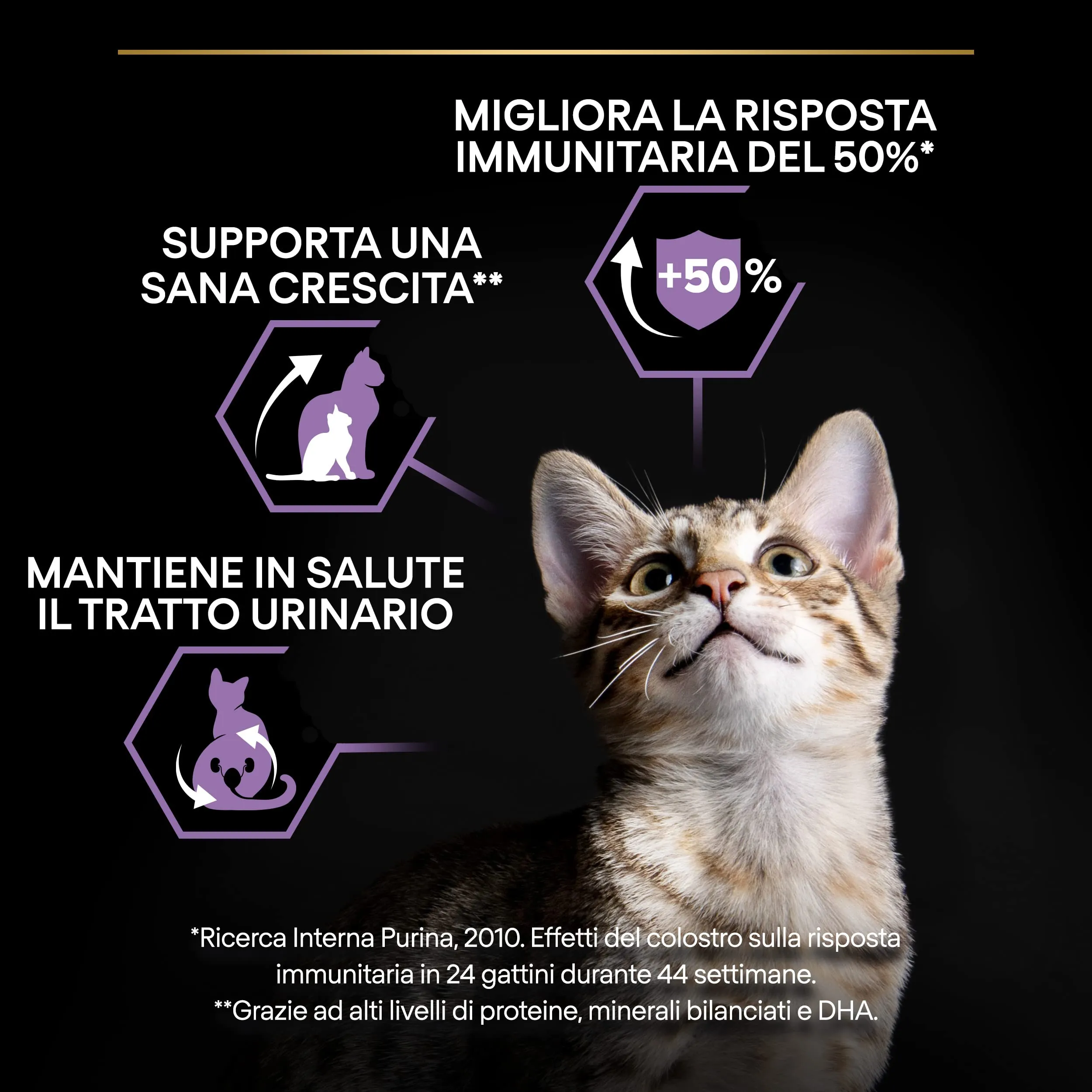 Purina Pro Plan Healthy Start Crocchette per Gatti Cuccioli al Pollo, 1.5 kg - immagine 4