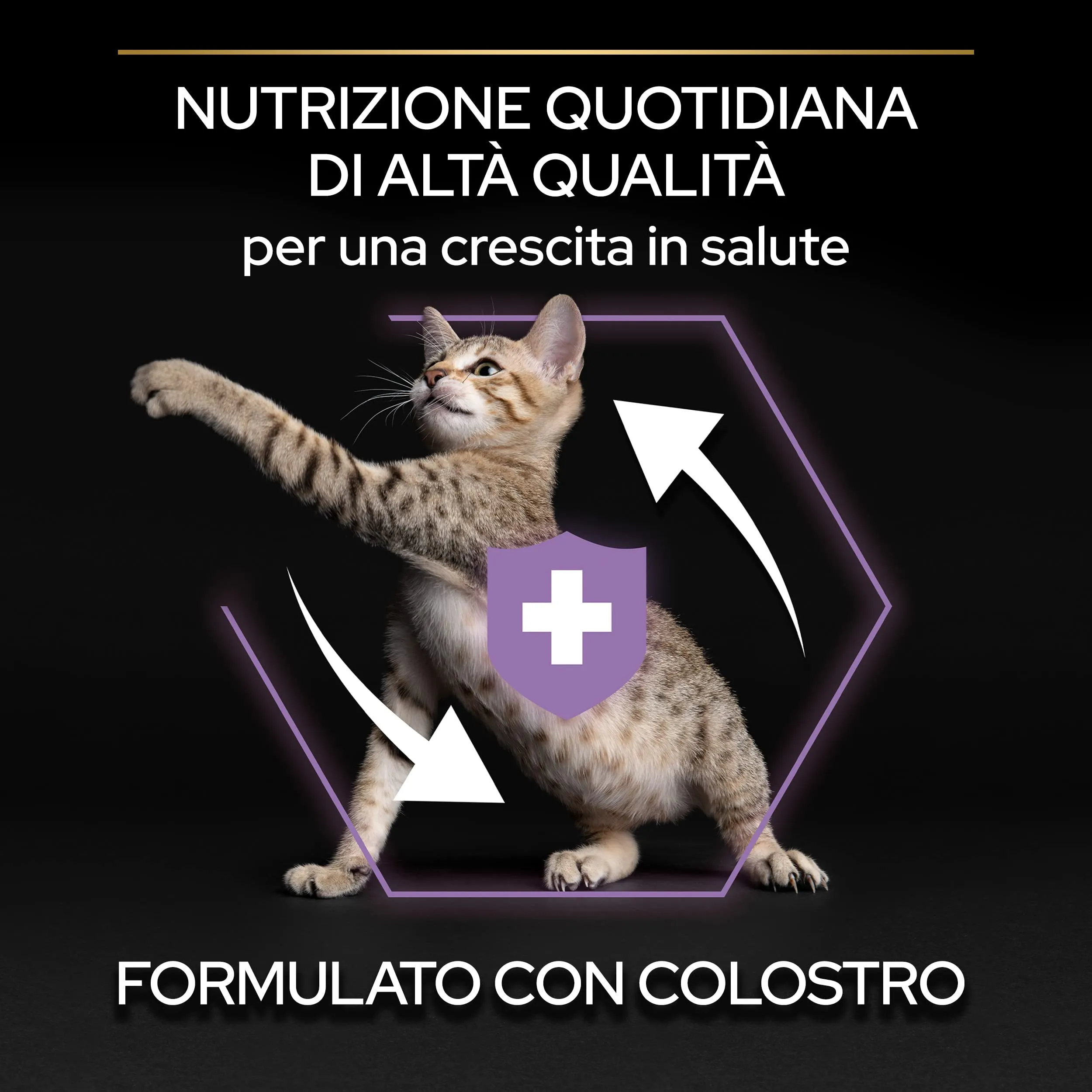 Purina Pro Plan Healthy Start Crocchette per Gatti Cuccioli al Pollo, 1.5 kg - immagine 5