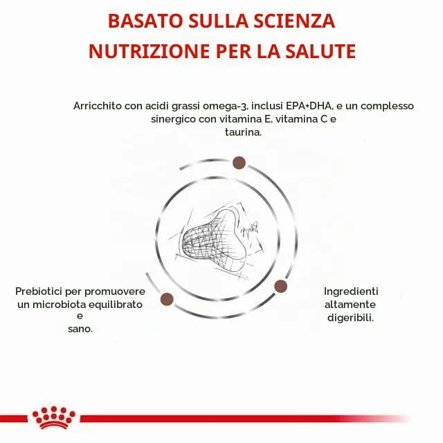 Royal Canin Gastrointestinal Fibre Response Crocchette per gatti, 400 g - immagine 4