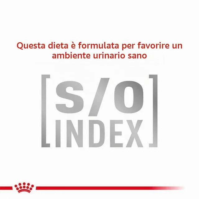 Royal Canin Gastrointestinal Fibre Response Crocchette per gatti, 400 g - immagine 7