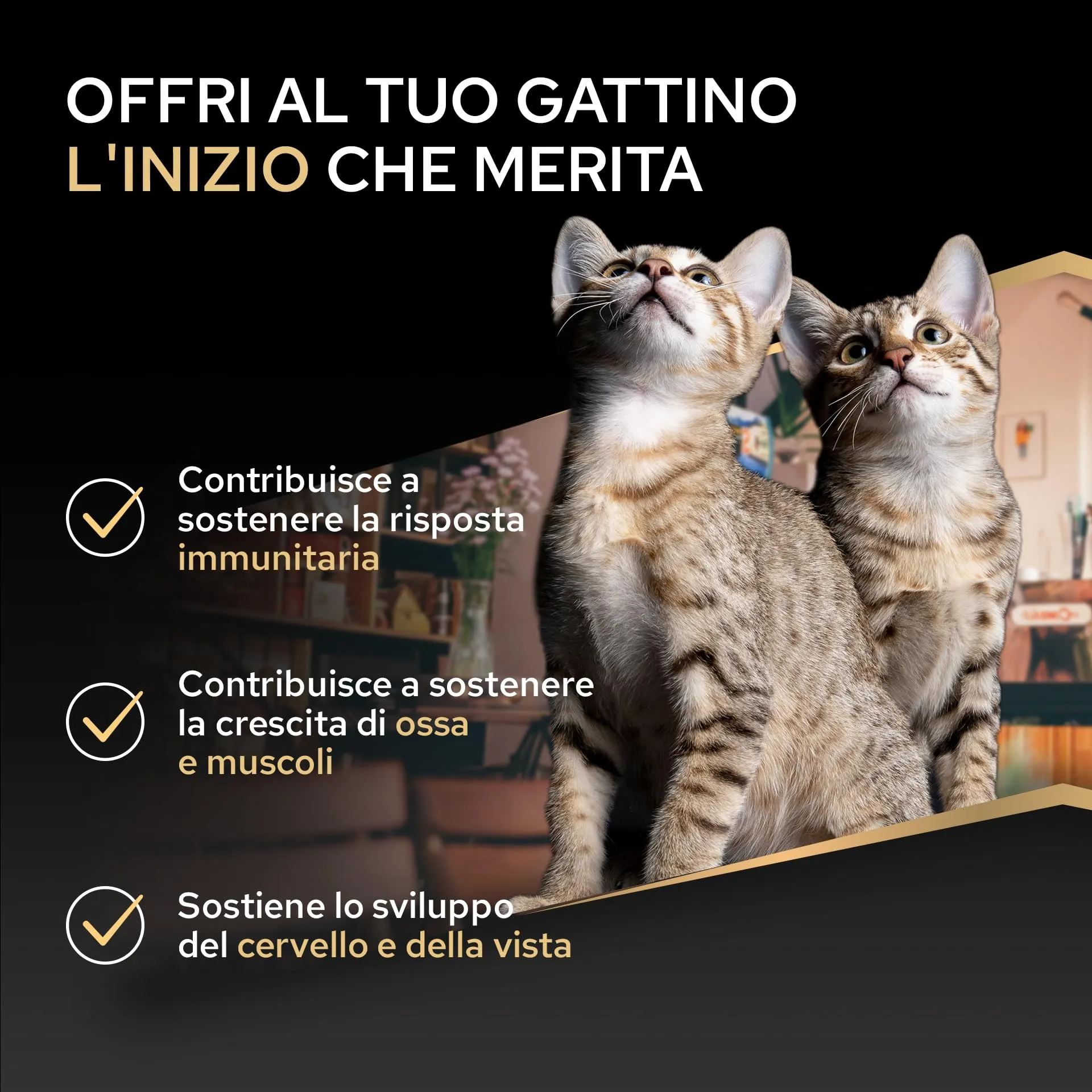 Purina Pro Plan Healthy Start Kitten Crocchette per Gattini, Pollo, 10 kg - immagine 3