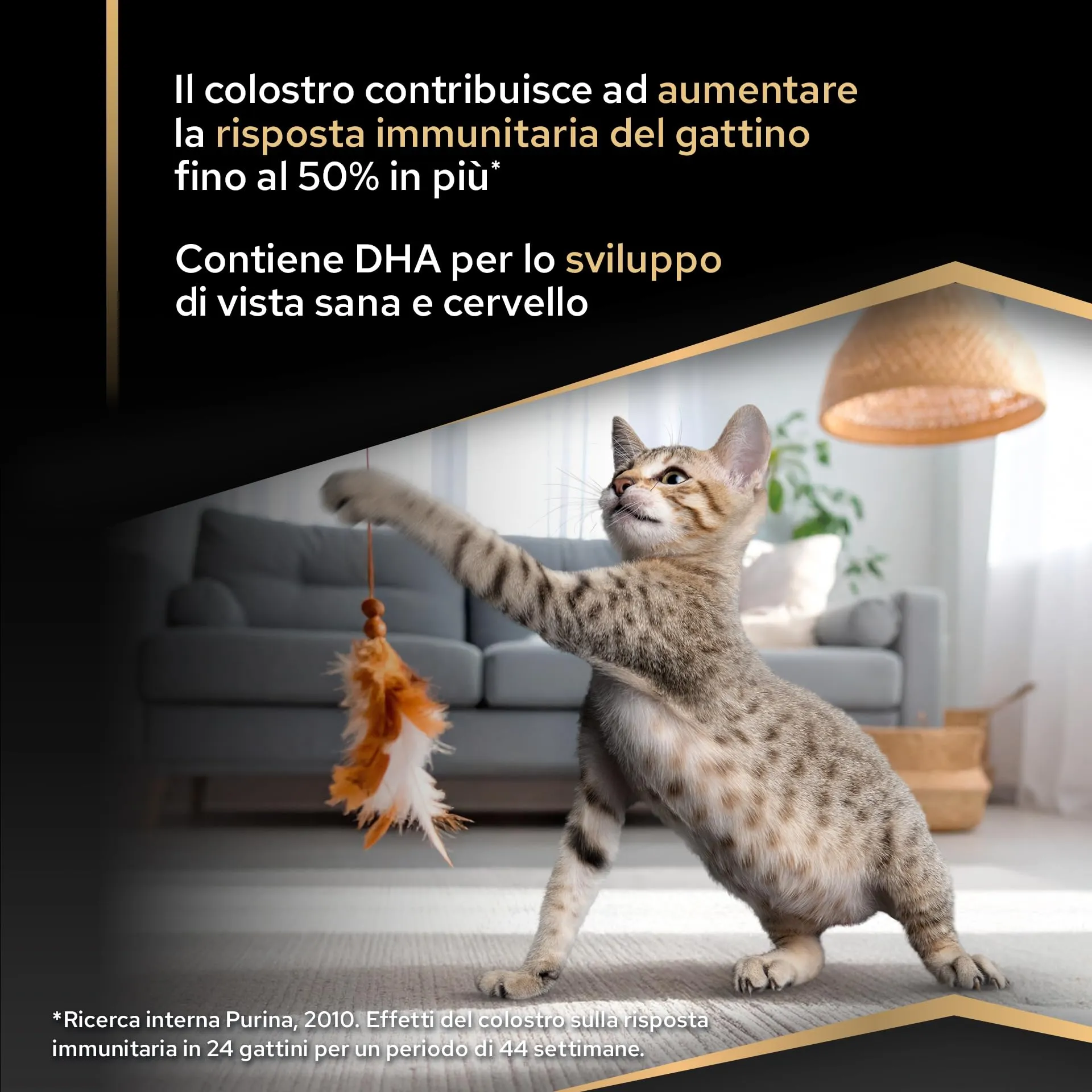 Purina Pro Plan Healthy Start Kitten Crocchette per Gattini, Pollo, 10 kg - immagine 4