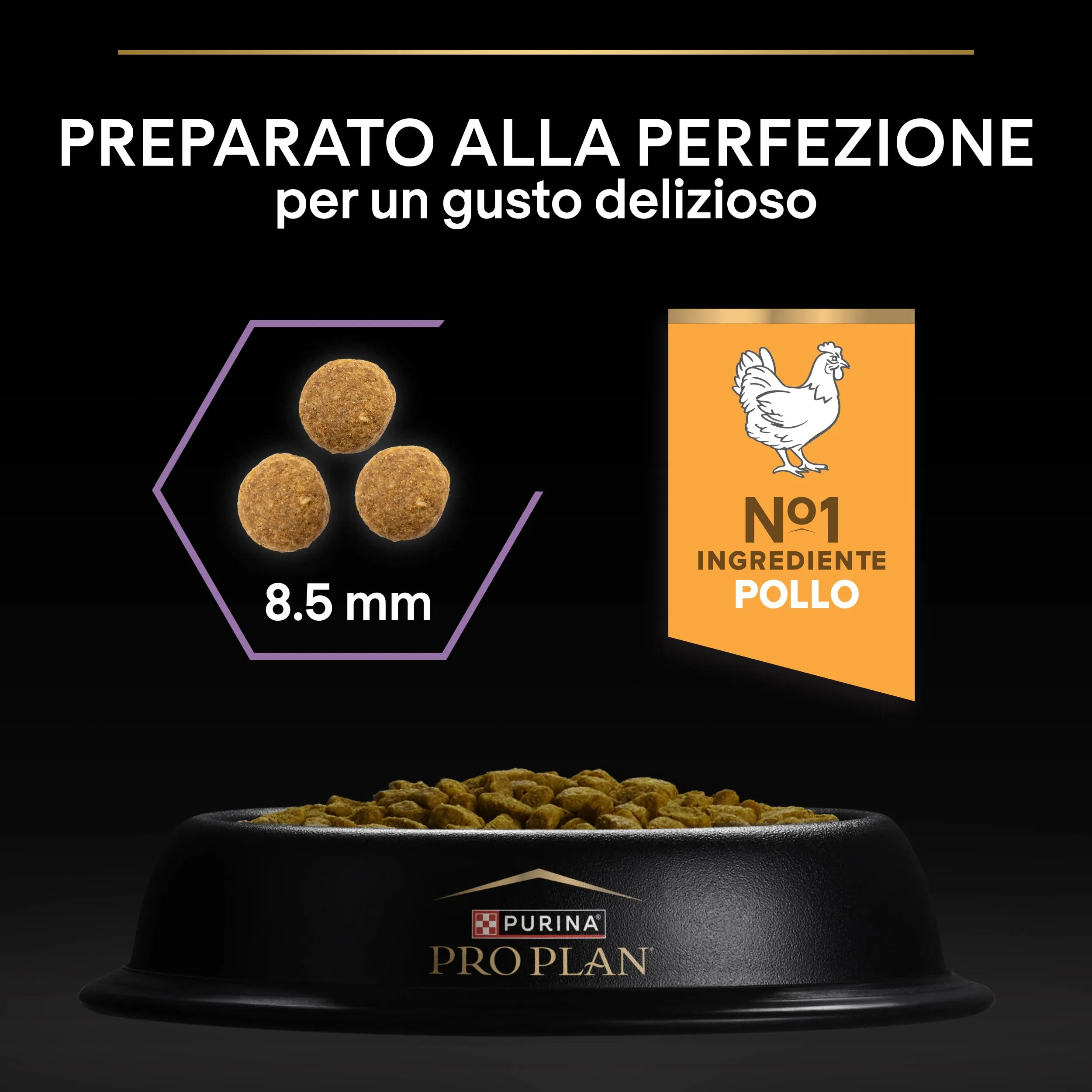 Purina Pro Plan Healthy Start Kitten Crocchette per Gattini, Pollo, 10 kg - immagine 5