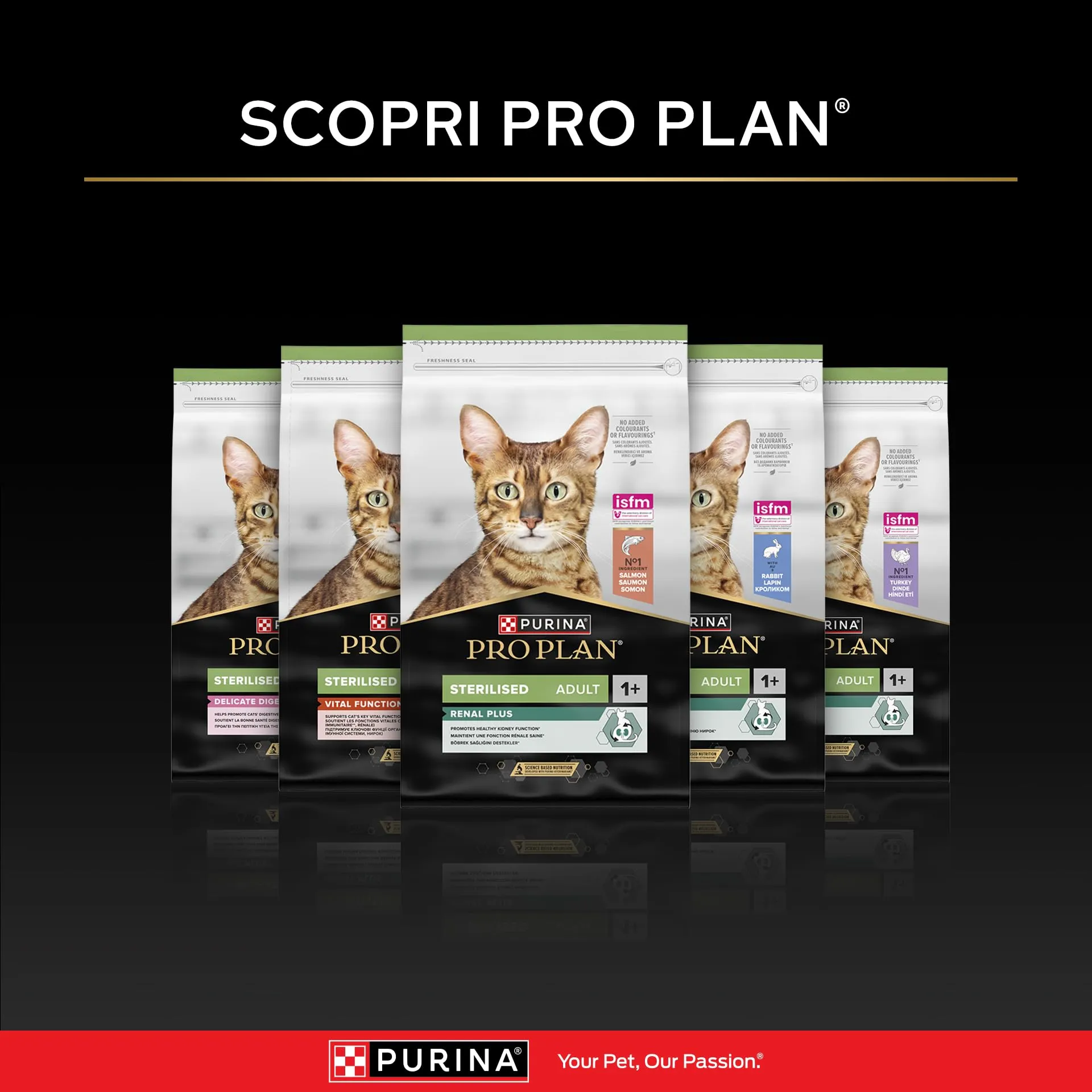 Purina Pro Plan Healthy Start Kitten Crocchette per Gattini, Pollo, 10 kg - immagine 10