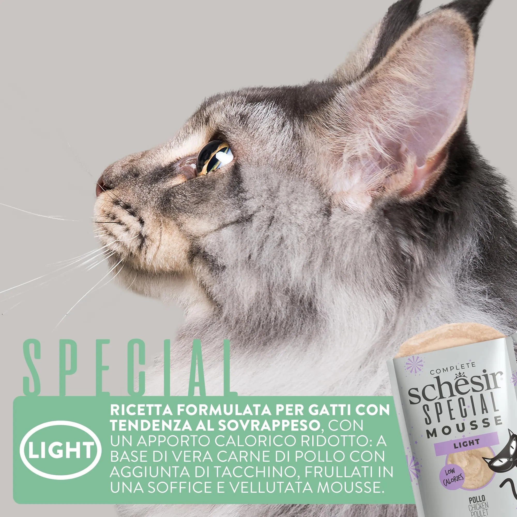 Schesir Special Light Filetti di Pollo in Mousse Alimento Umido Completo per Gatti Grain Free, 12 x 70g - immagine 5
