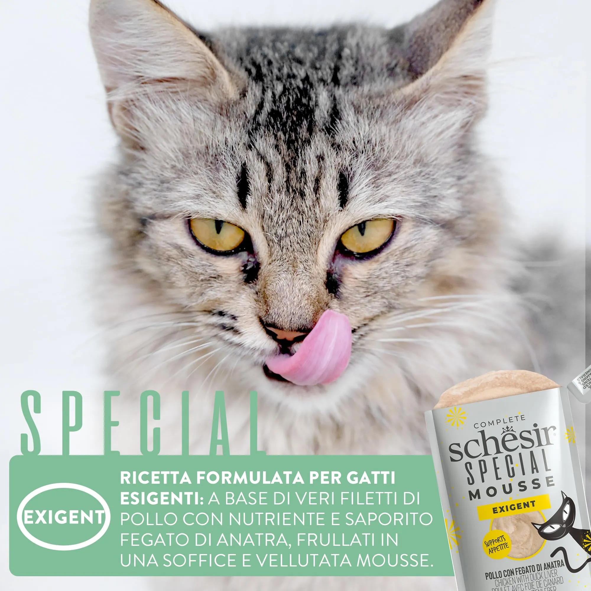 Schesir Special Exigent Filetti di Pollo con Anatra in Mousse, Alimento Umido Completo per Gatti, Grain Free, 12 x 70g - immagine 8
