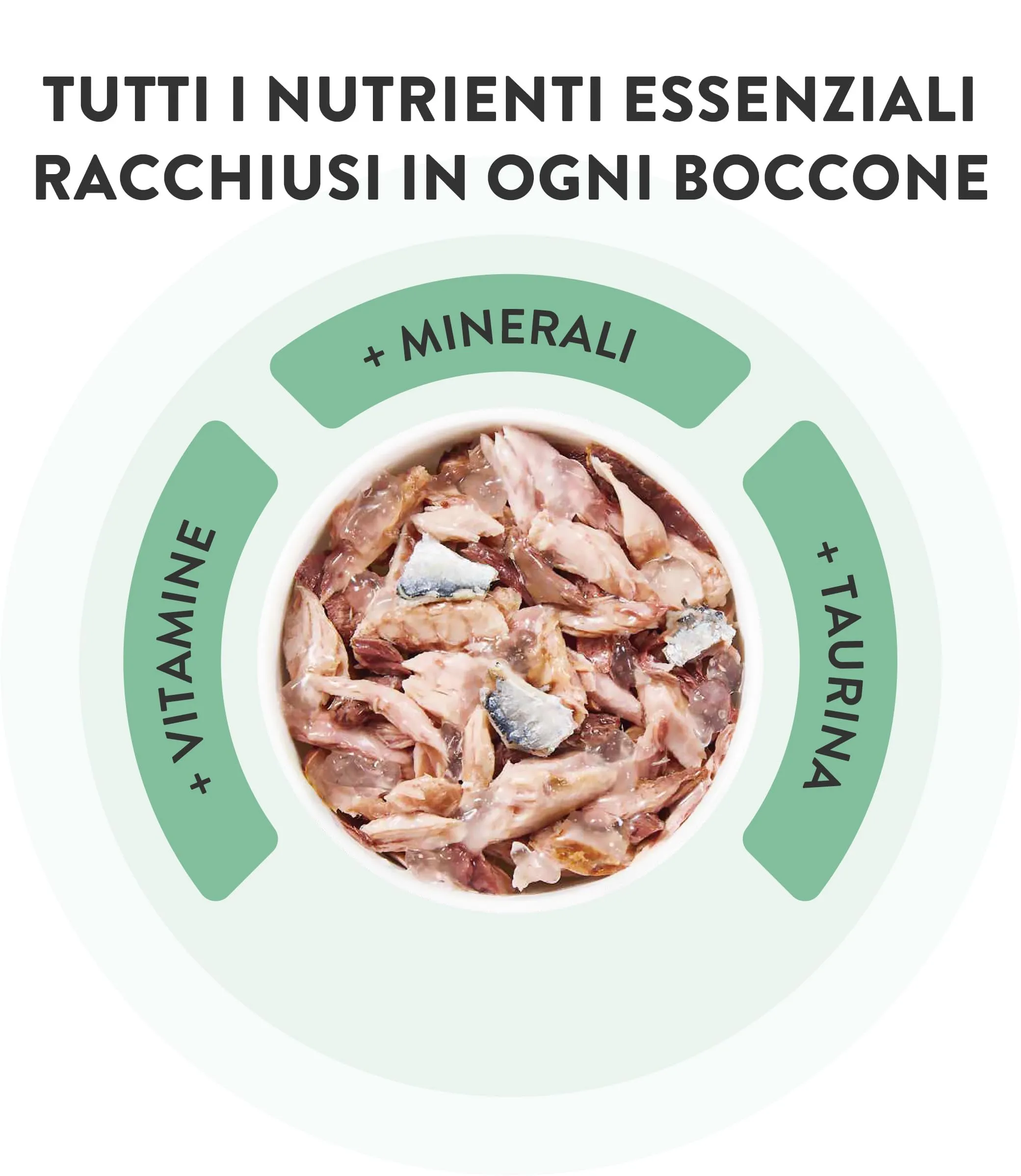 Schesir Tonnetto con Manzo in Brodo, Alimento Umido Completo per Gatti, 6 x 85g - immagine 7