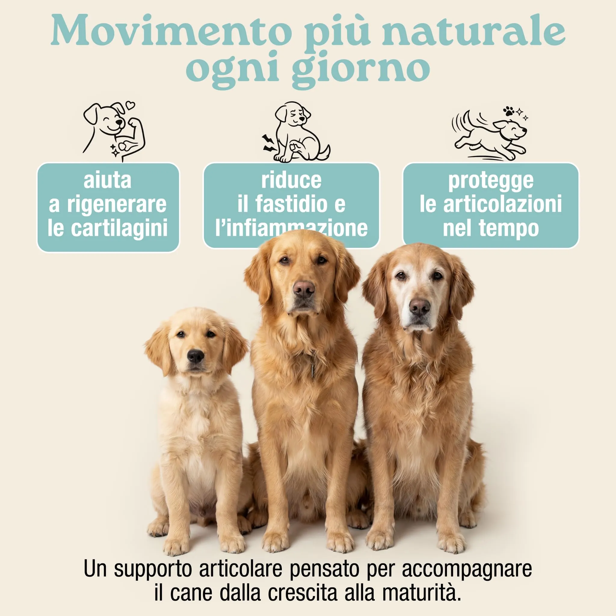 MyPetPrime Articolazioni Cane, 125 Compresse - immagine 2