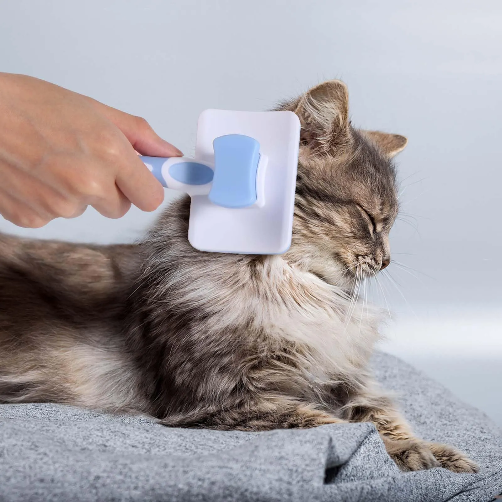 Vinabo Spazzola Autopulente per Gatti e Cani, Pelo Corto e Lungo, Blu - immagine 3