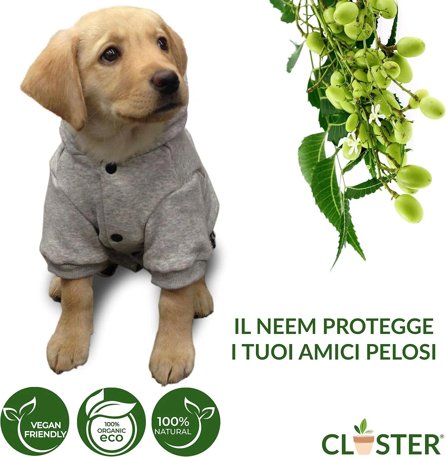 CLOSTER Neem Pet Protection Spray Antiparassitario per Cani e Gatti, 750 ml - immagine 2