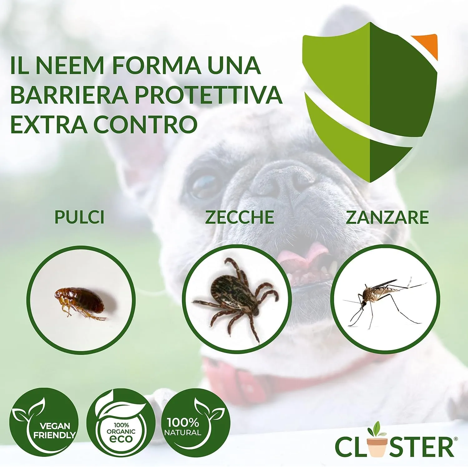 CLOSTER Neem Pet Protection Spray Antiparassitario per Cani e Gatti, 750 ml - immagine 4