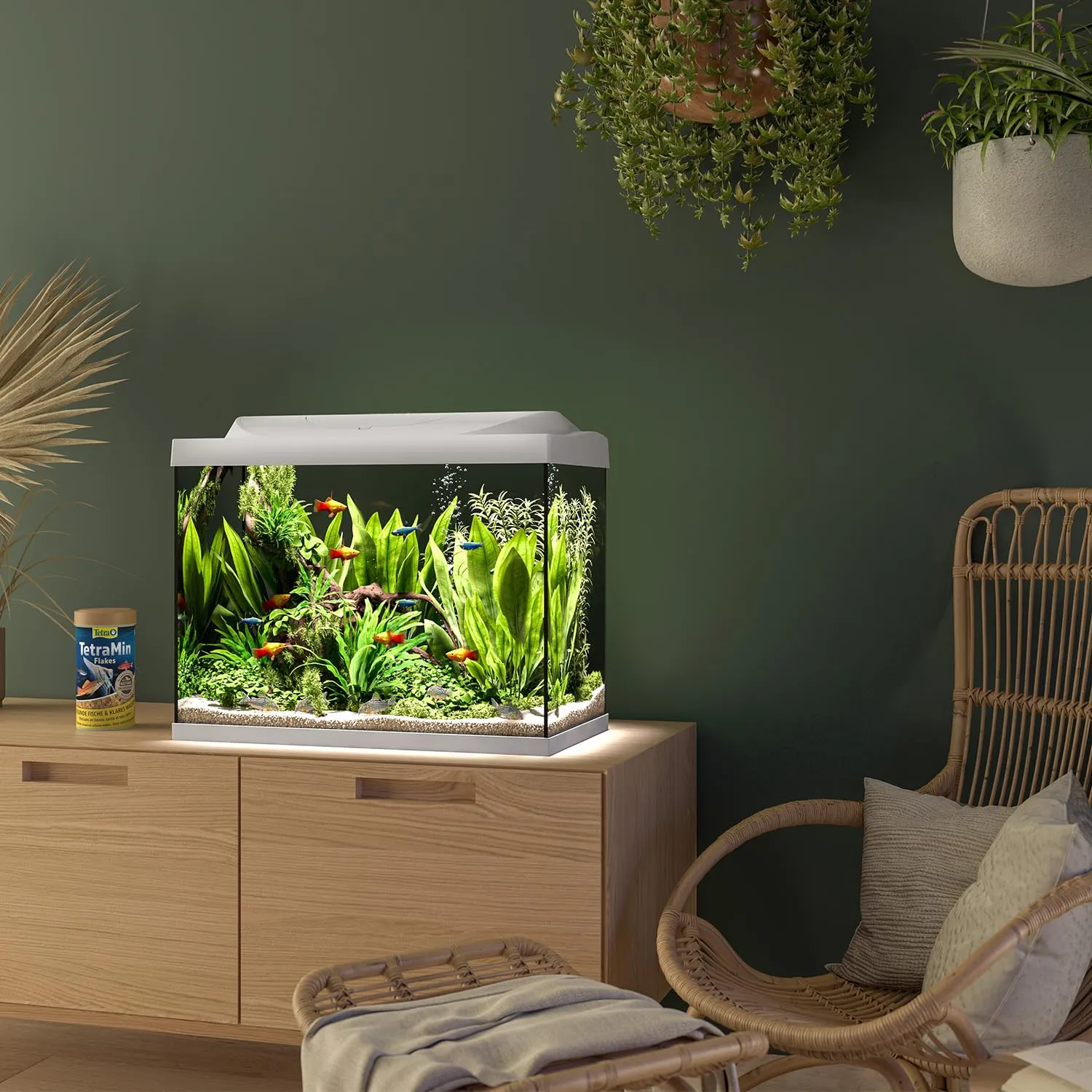 Tetra Starter Line 80 L Set Completo Acquario con Illuminazione LED, Bianco - immagine 5