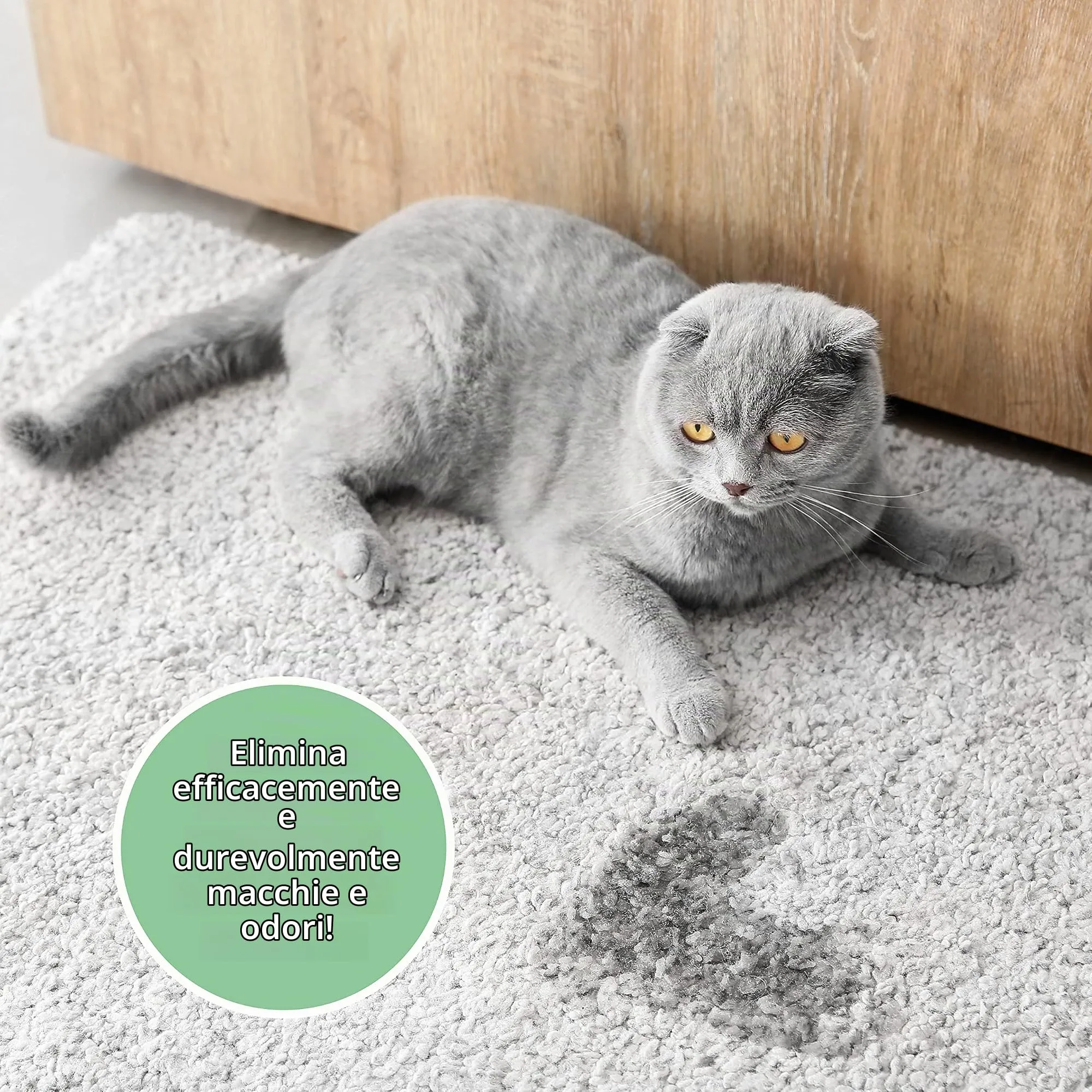 ARKA Pipi-Gone Detergente Enzimatico Elimina Urina Gatto Spray 100 ml - immagine 3
