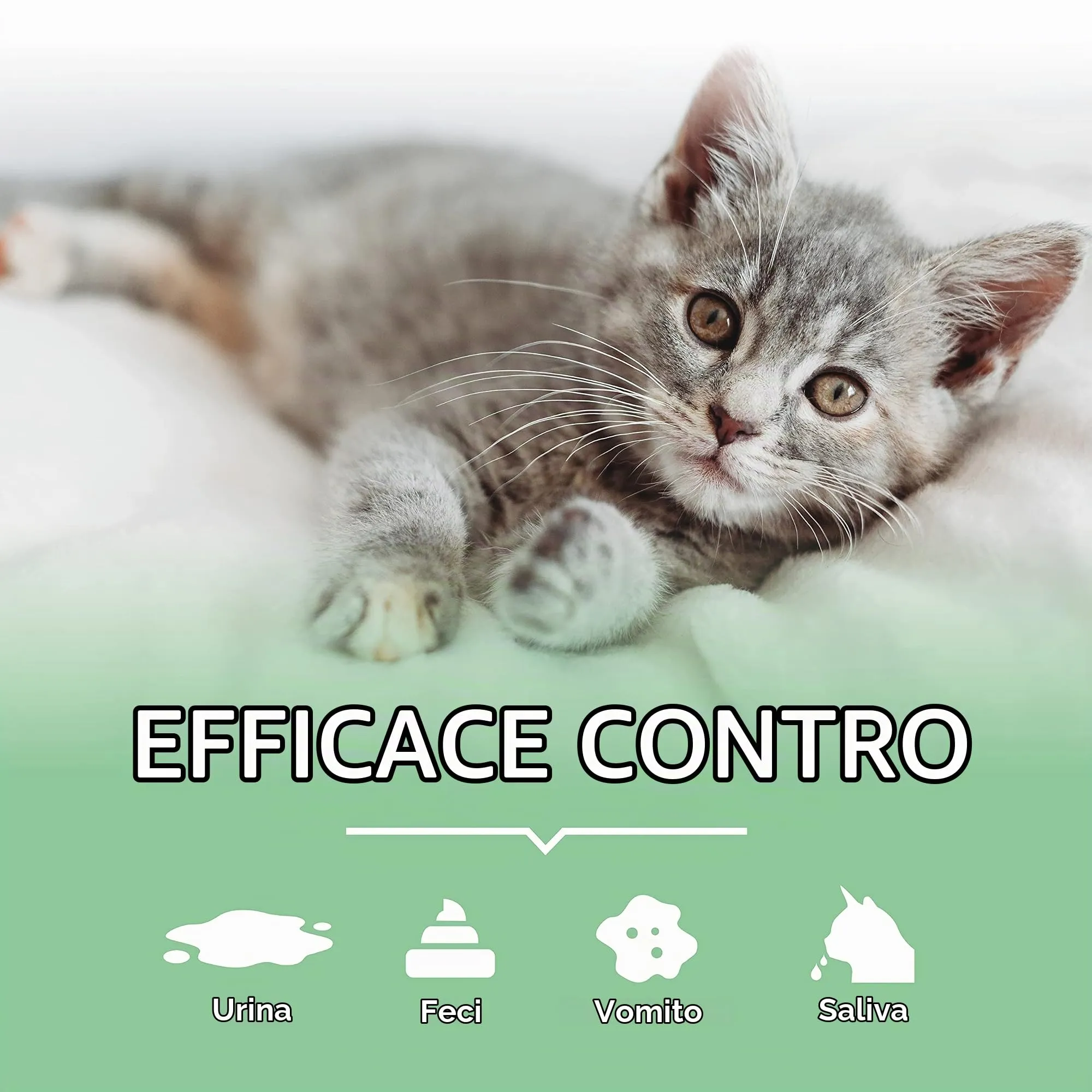 ARKA Pipi-Gone Detergente Enzimatico Elimina Urina Gatto Spray 100 ml - immagine 5