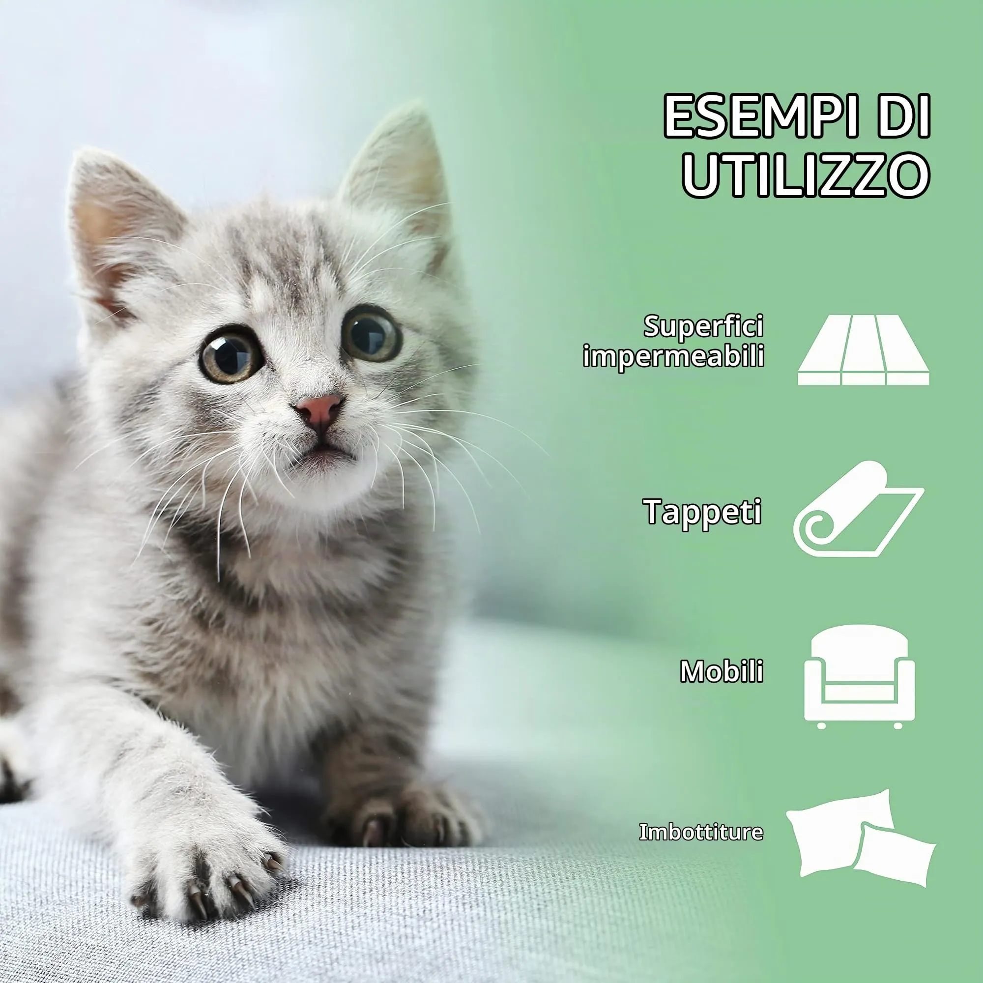 ARKA Pipi-Gone Detergente Enzimatico Elimina Urina Gatto Spray 100 ml - immagine 6
