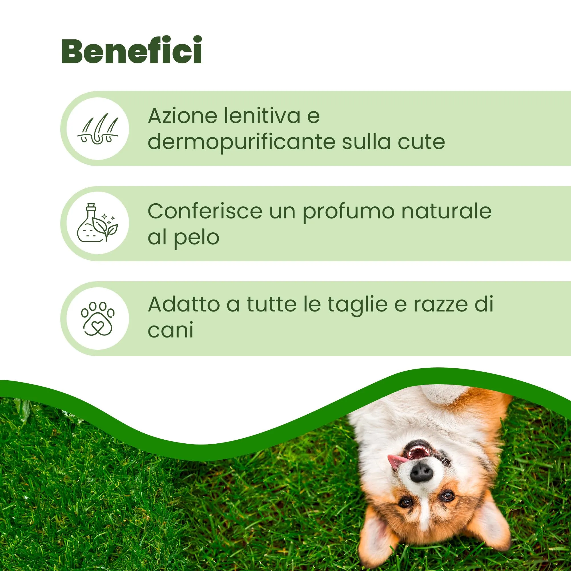 Camon Leispray Lozione Protettiva per Cani, 500ml - immagine 3