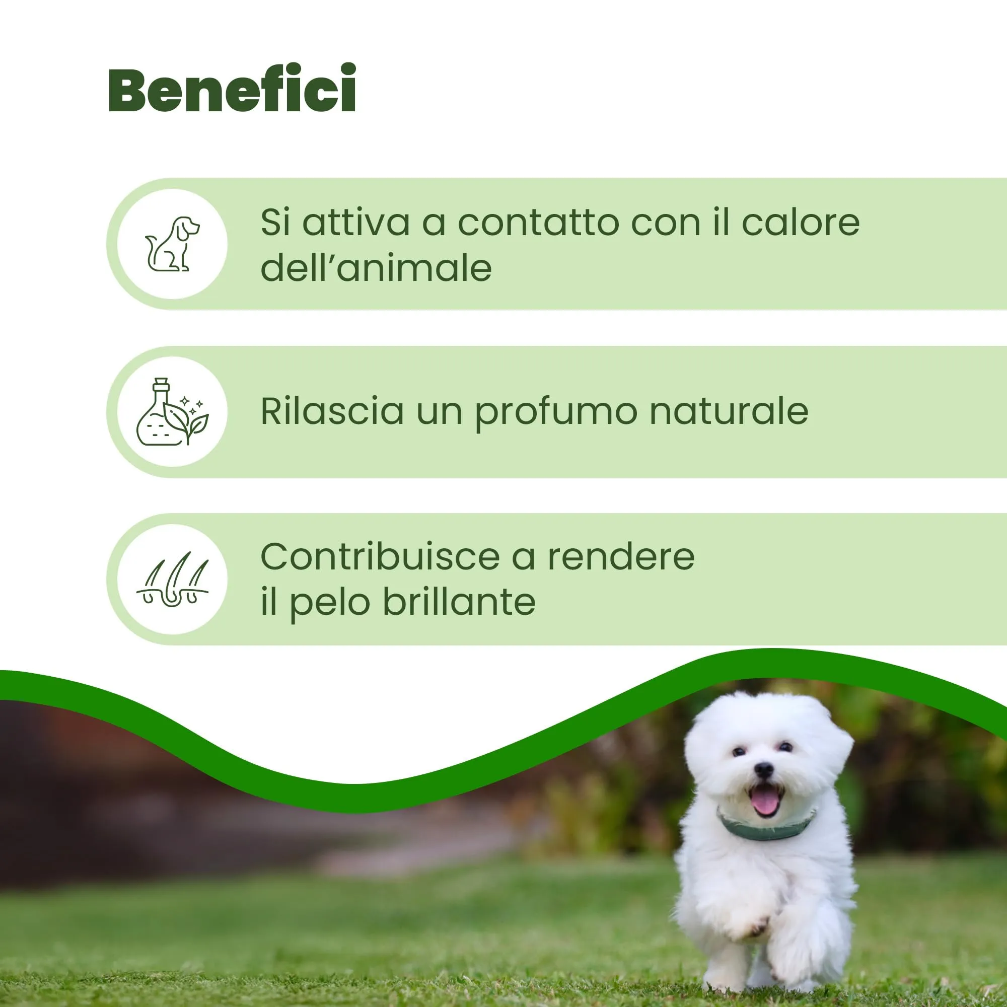 Camon Collare Olio di Neem per Cani di Taglia Piccola, 35cm - immagine 3