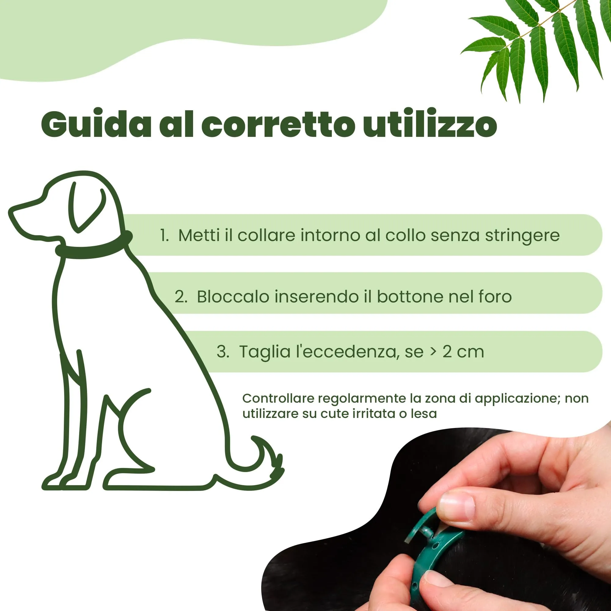 Camon Collare Olio di Neem per Cani di Taglia Piccola, 35cm - immagine 4