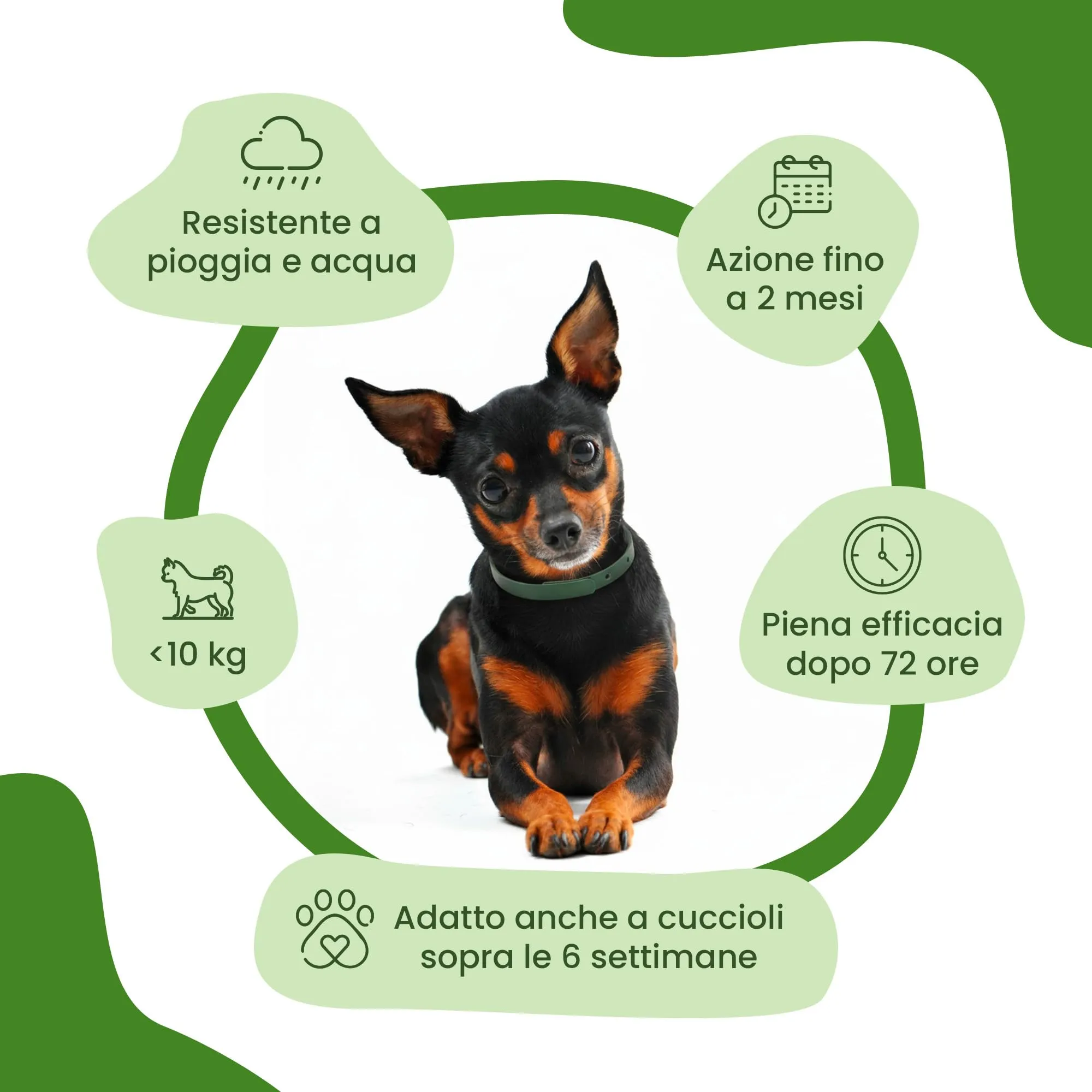 Camon Collare Olio di Neem per Cani di Taglia Piccola, 35cm - immagine 5