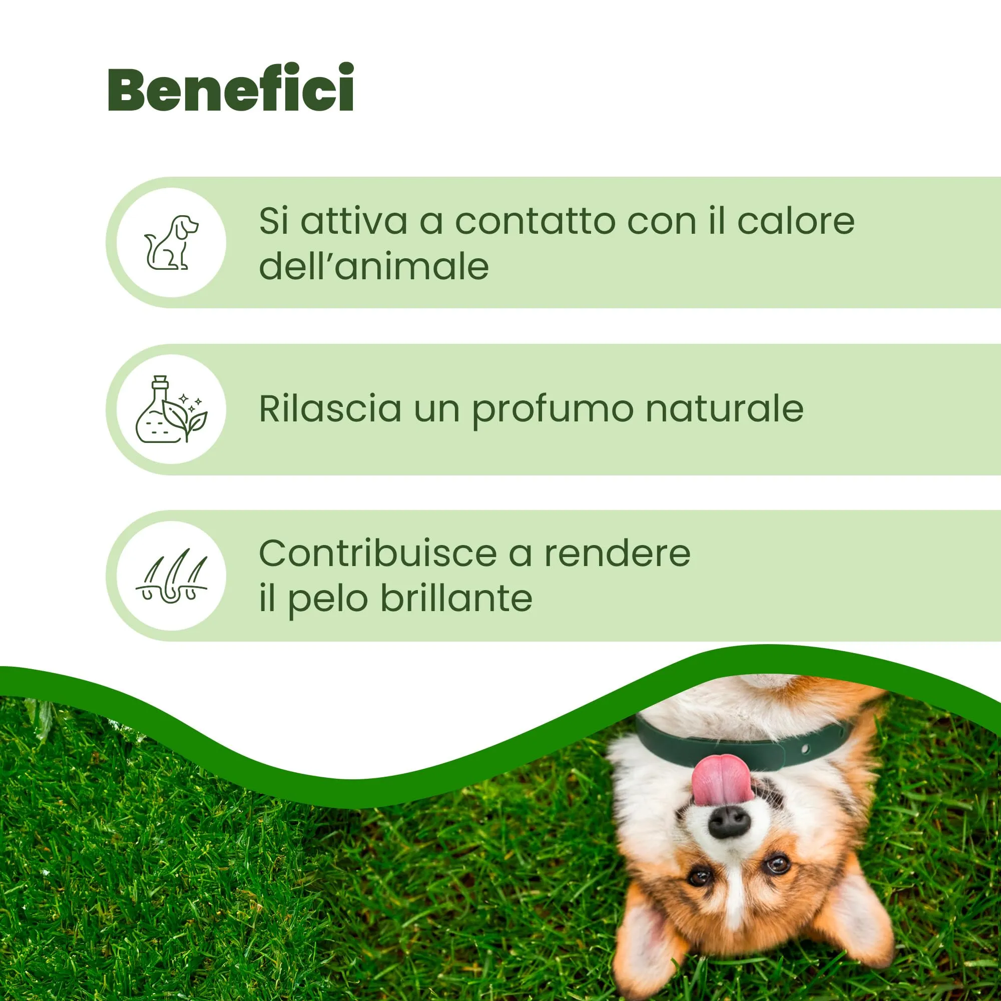 Camon Collare Protettivo per Cane con Olio di Neem, 75cm (>10kg) - immagine 3