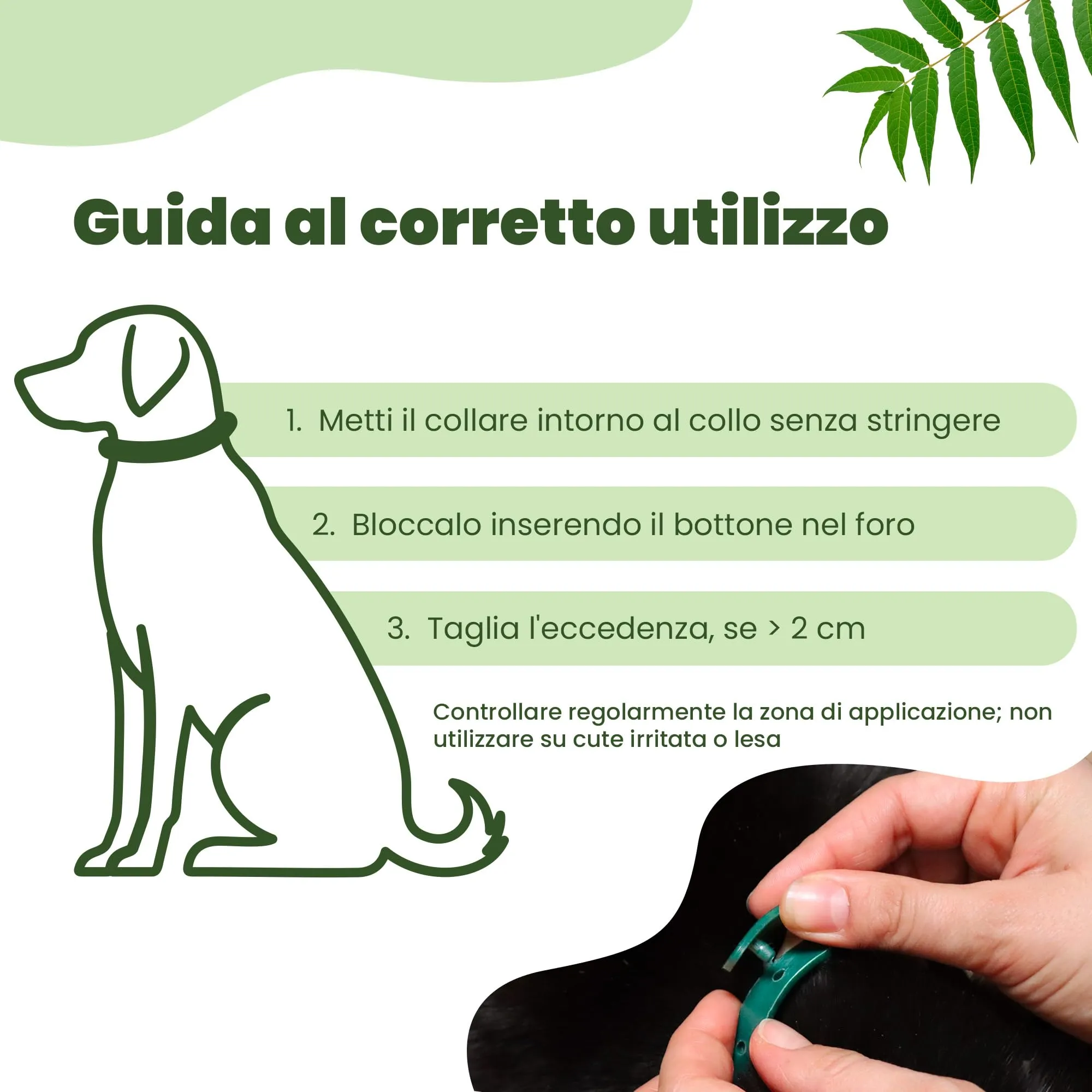 Camon Collare Protettivo per Cane con Olio di Neem, 75cm (>10kg) - immagine 4