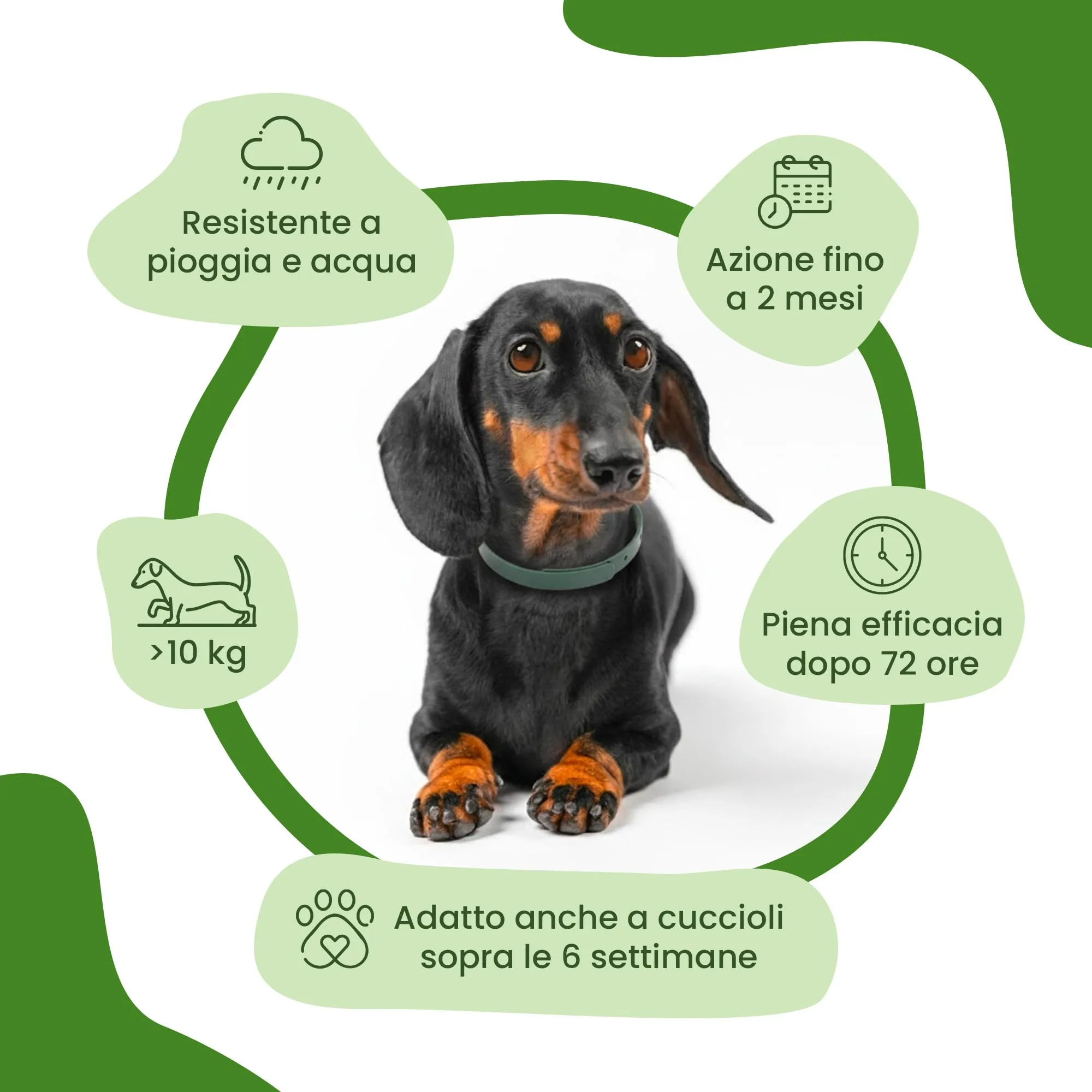 Camon Collare Protettivo per Cane con Olio di Neem, 75cm (>10kg) - immagine 5