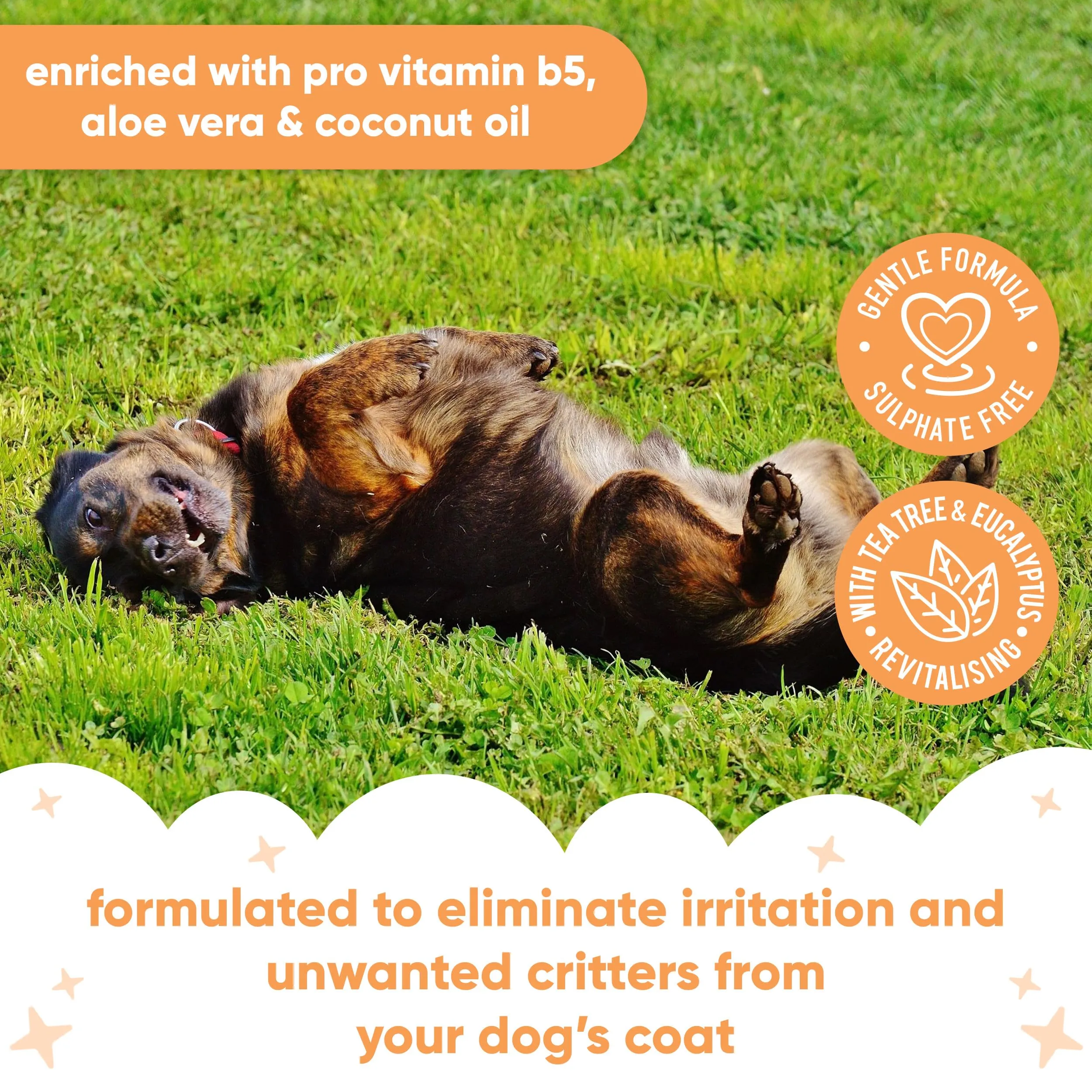 Buddycare Shampoo per Cani Antipulci e Zecche con Tea Tree ed Eucalipto (500ml) - immagine 5