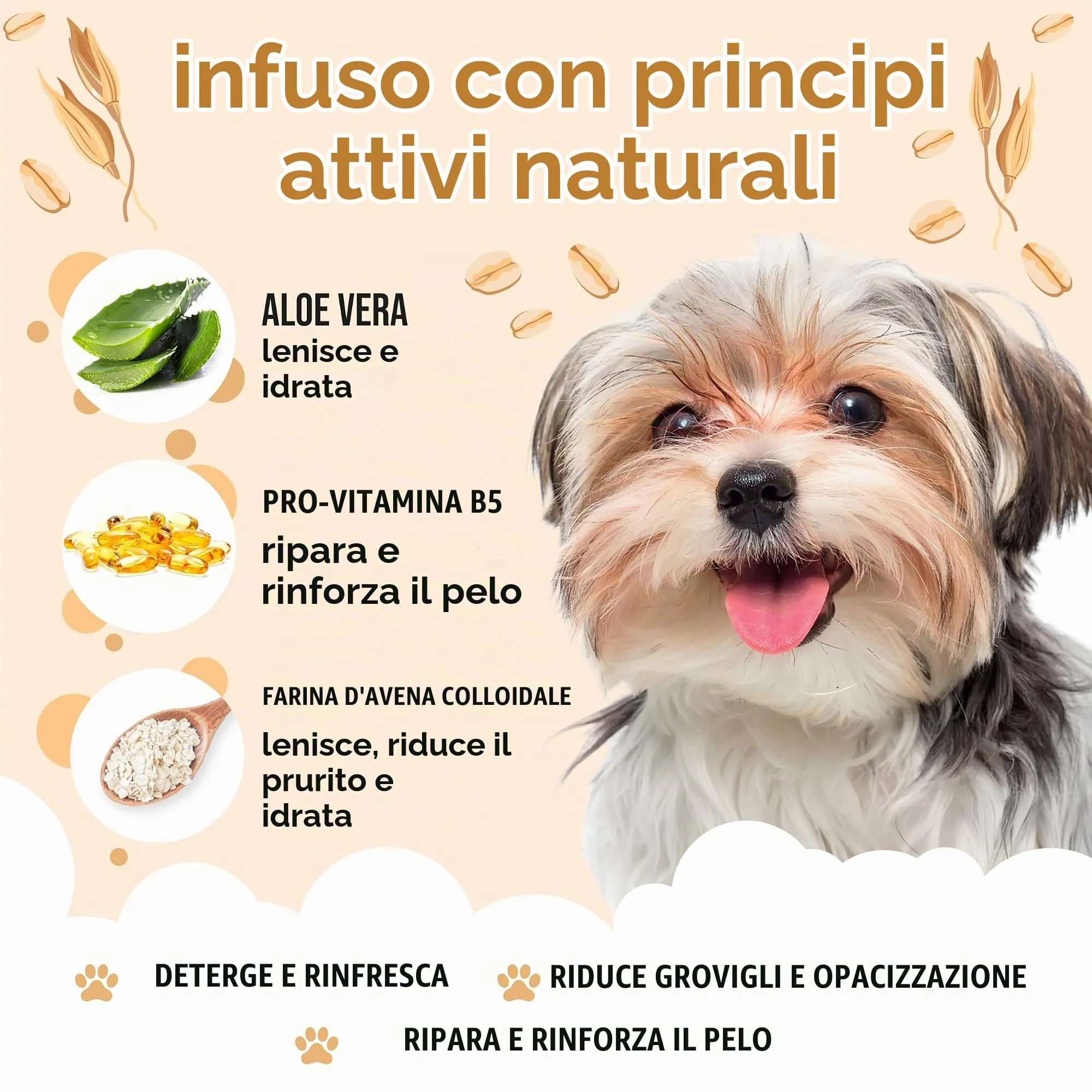 Buddycare Shampoo per Cani alla Farina d'Avena, Aloe Vera e B5 (500ml) - immagine 2