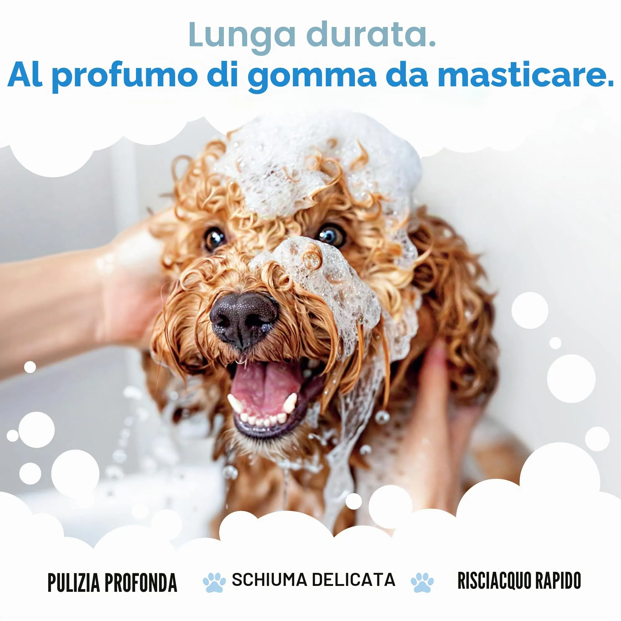 Buddycare Shampoo per cani Bubblegum con Aloe Vera e Pro Vitamina B5, 5L - immagine 4