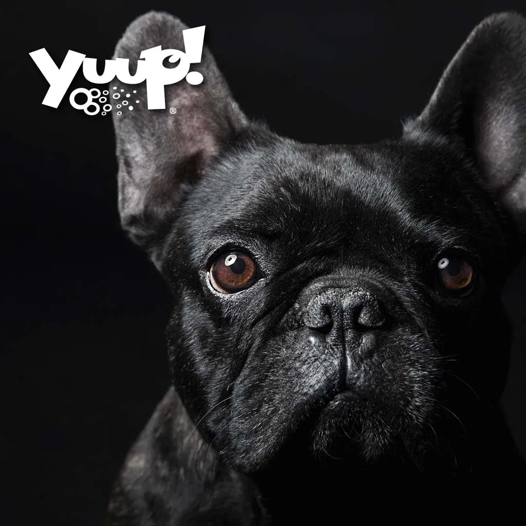 Yuup Shampoo per Cani e Gatti Manti Scuri, 500 ml - immagine 7