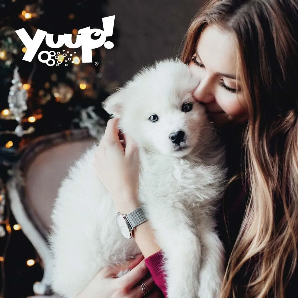 Yuup Christmas Shampoo per Cani e Gatti, Profumo di Pan di Zenzero, Burro e Biscotti, 250 ml - immagine 6