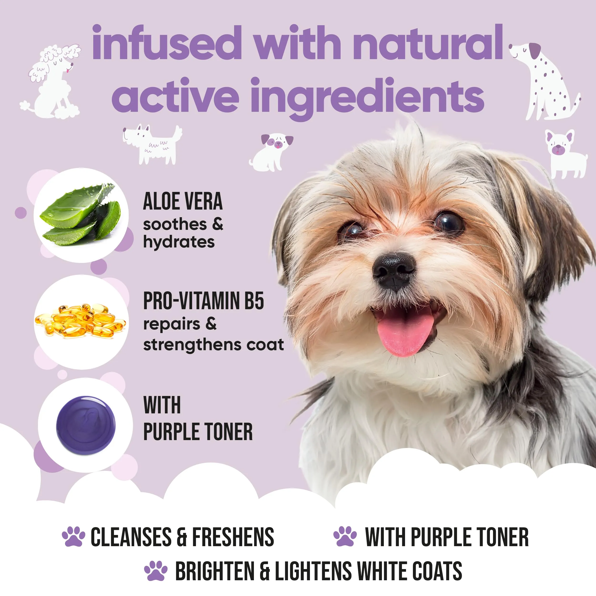 Buddycare Shampoo Bianco per Cani con Aloe Vera e B5, 500 ml - immagine 3
