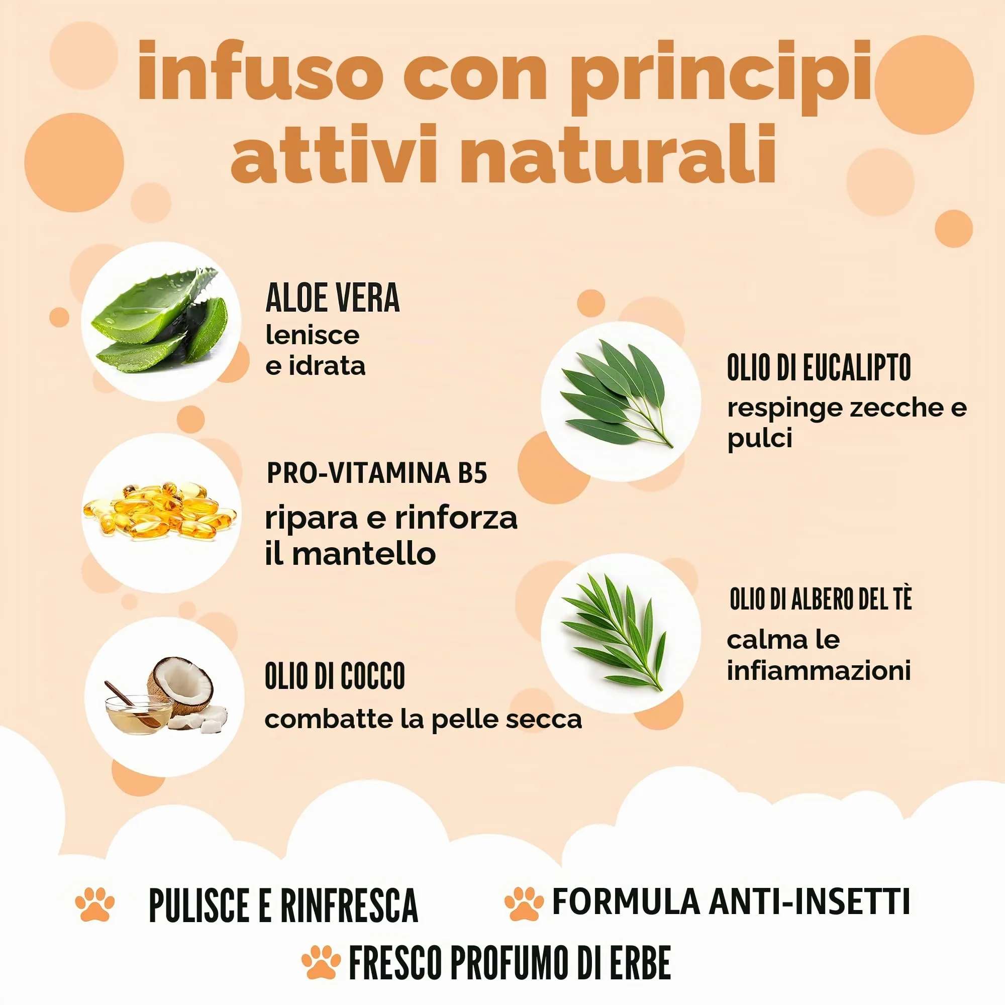 Buddycare Shampoo Antipulci e Zecche per Cani al Tea Tree ed Eucalipto, 5L - immagine 3