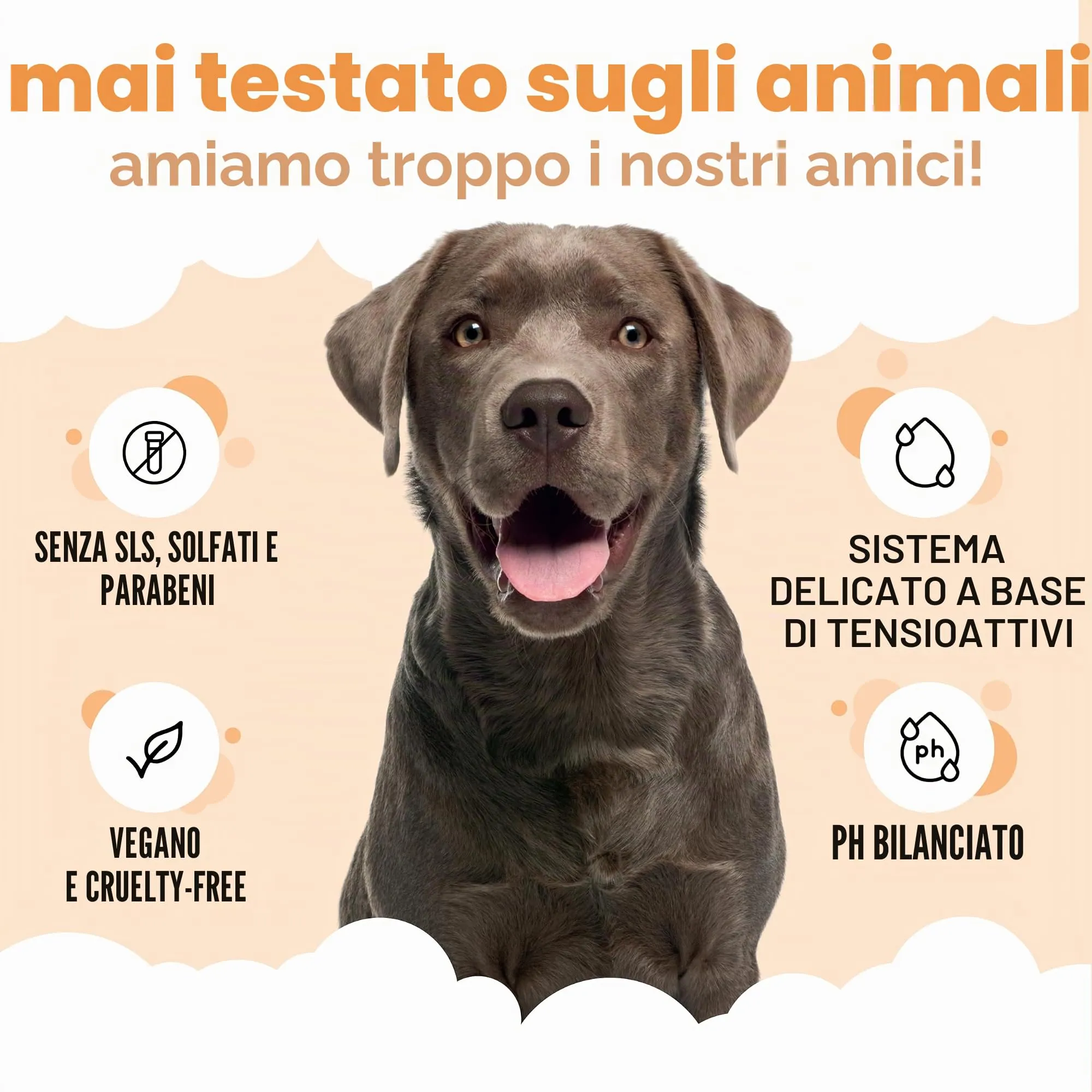 Buddycare Shampoo Antipulci e Zecche per Cani al Tea Tree ed Eucalipto, 5L - immagine 5