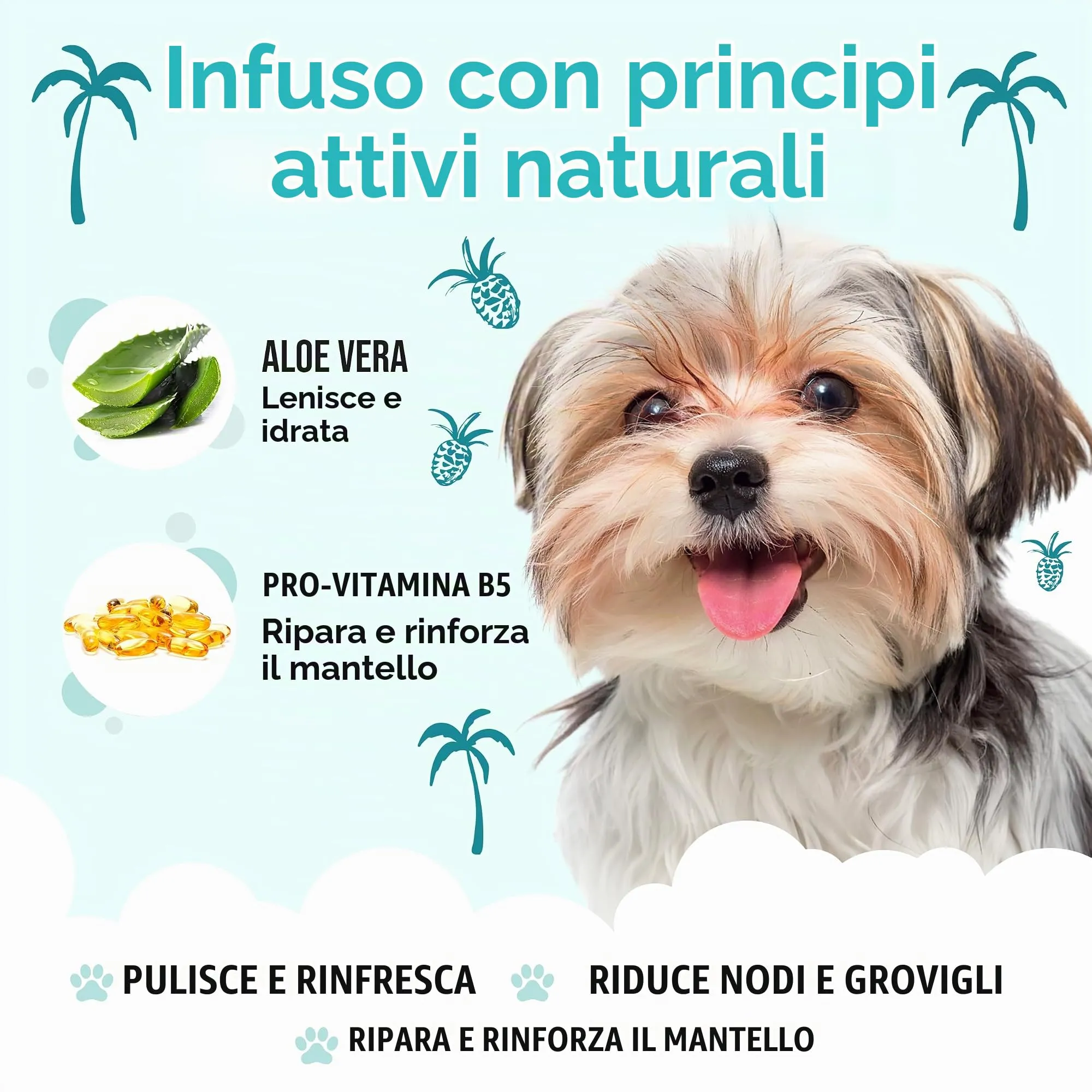 Buddycare Shampoo Tropicale per Cani con Aloe Vera e Pro Vitamina B5, 5L - immagine 3