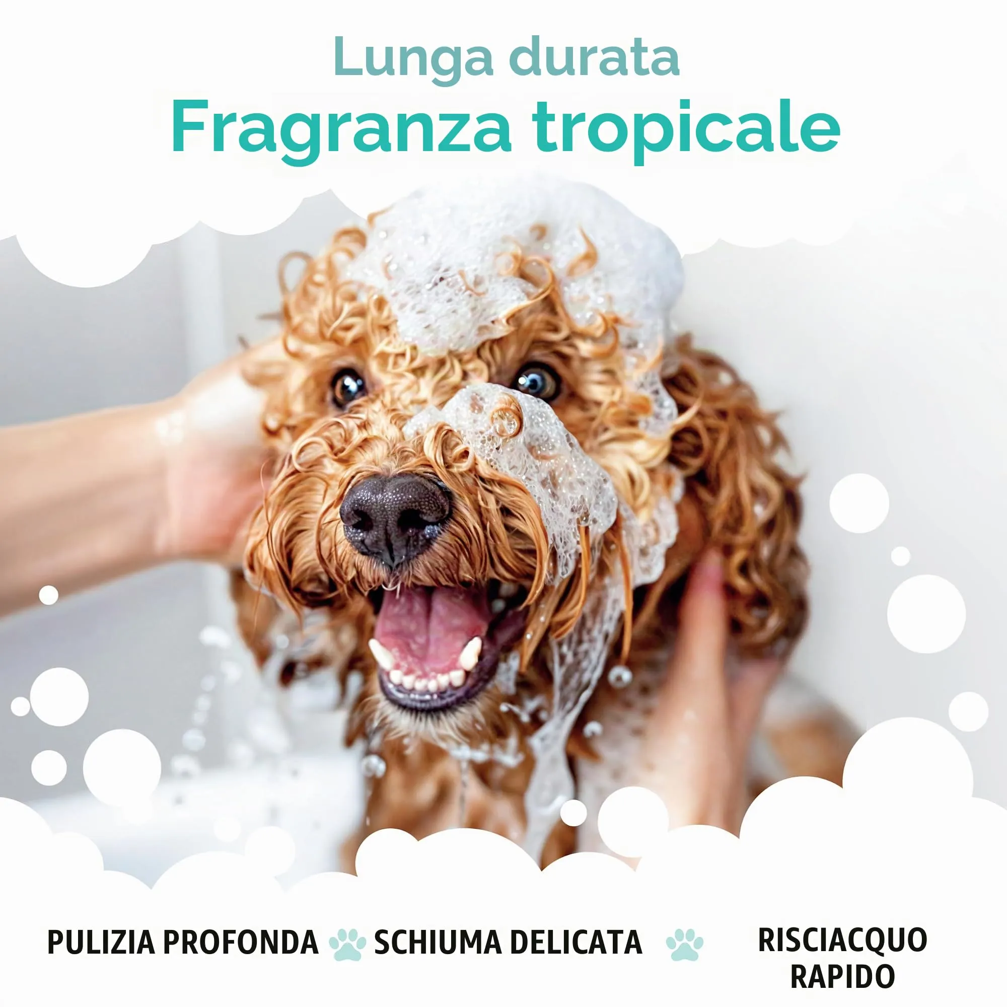 Buddycare Shampoo Tropicale per Cani con Aloe Vera e Pro Vitamina B5, 5L - immagine 4