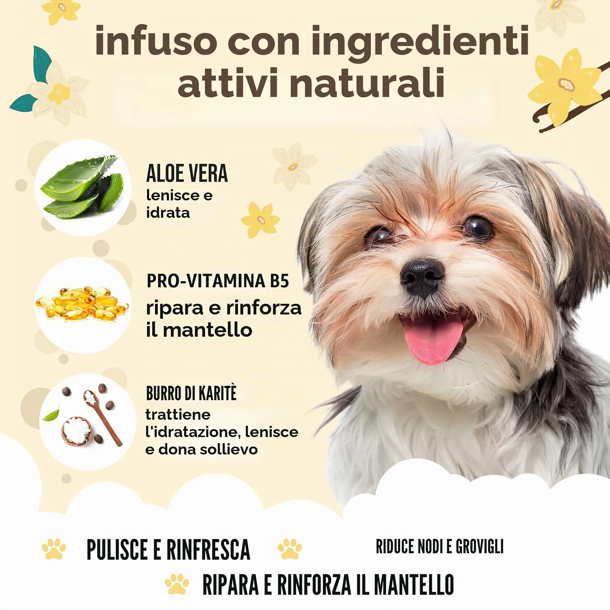 Buddycare Shampoo per Cani alla Vaniglia e Burro di Karité con Aloe Vera e B5, 5L - immagine 3