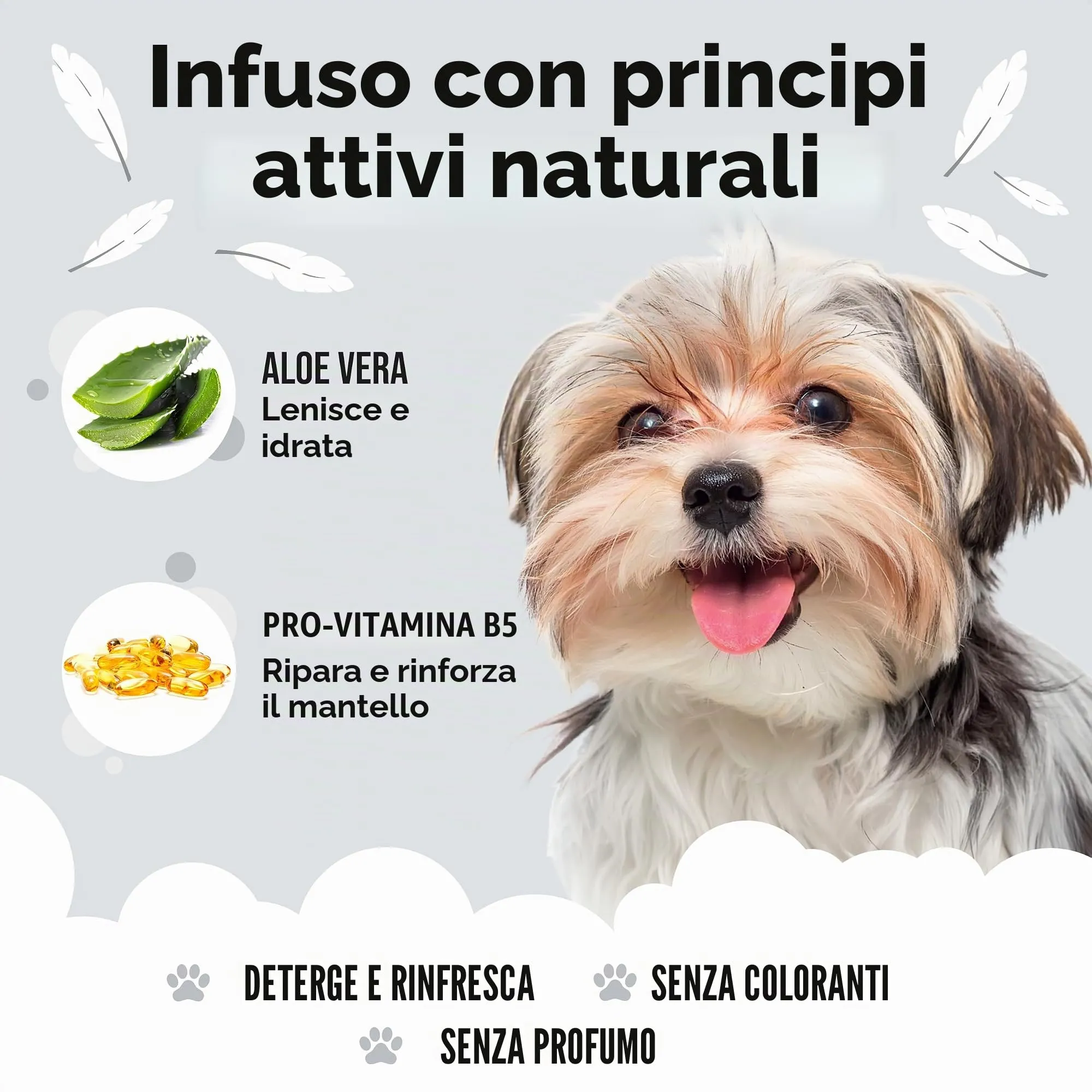 Buddycare Shampoo per Cani Derma Sensitive con Aloe Vera e Pro Vitamina B5, 5L - immagine 3