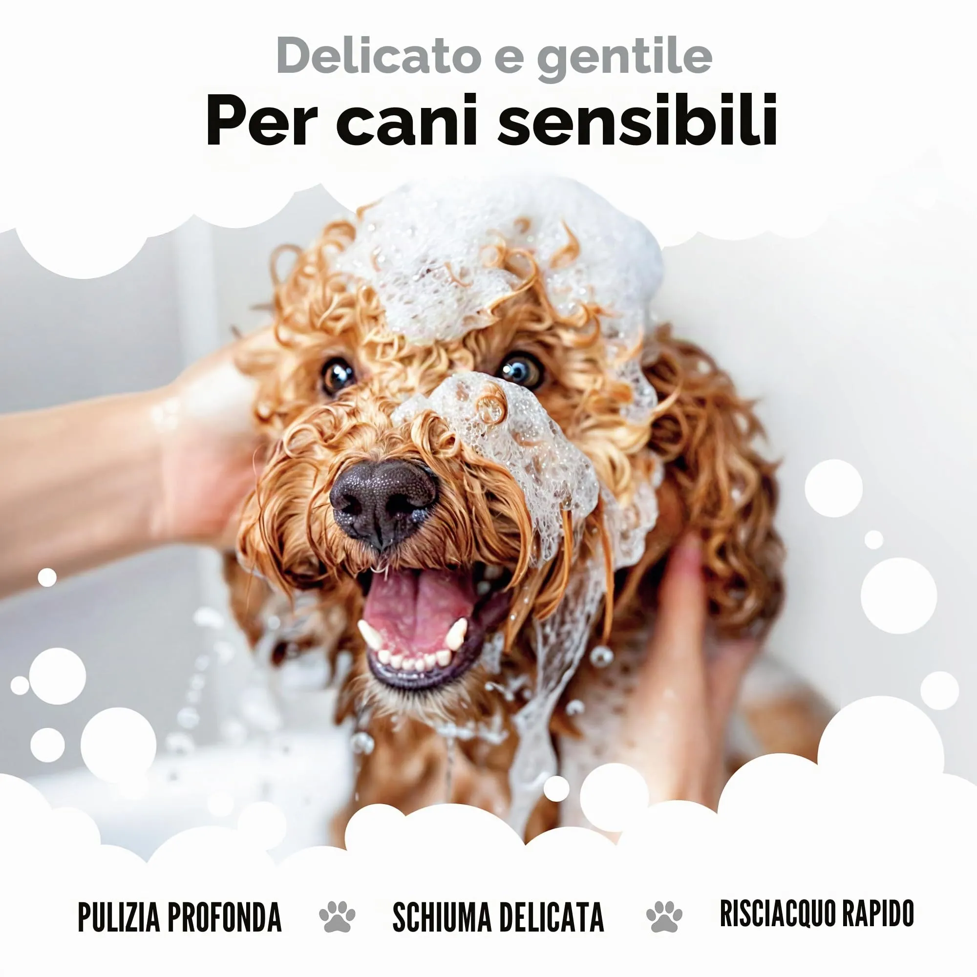 Buddycare Shampoo per Cani Derma Sensitive con Aloe Vera e Pro Vitamina B5, 5L - immagine 4